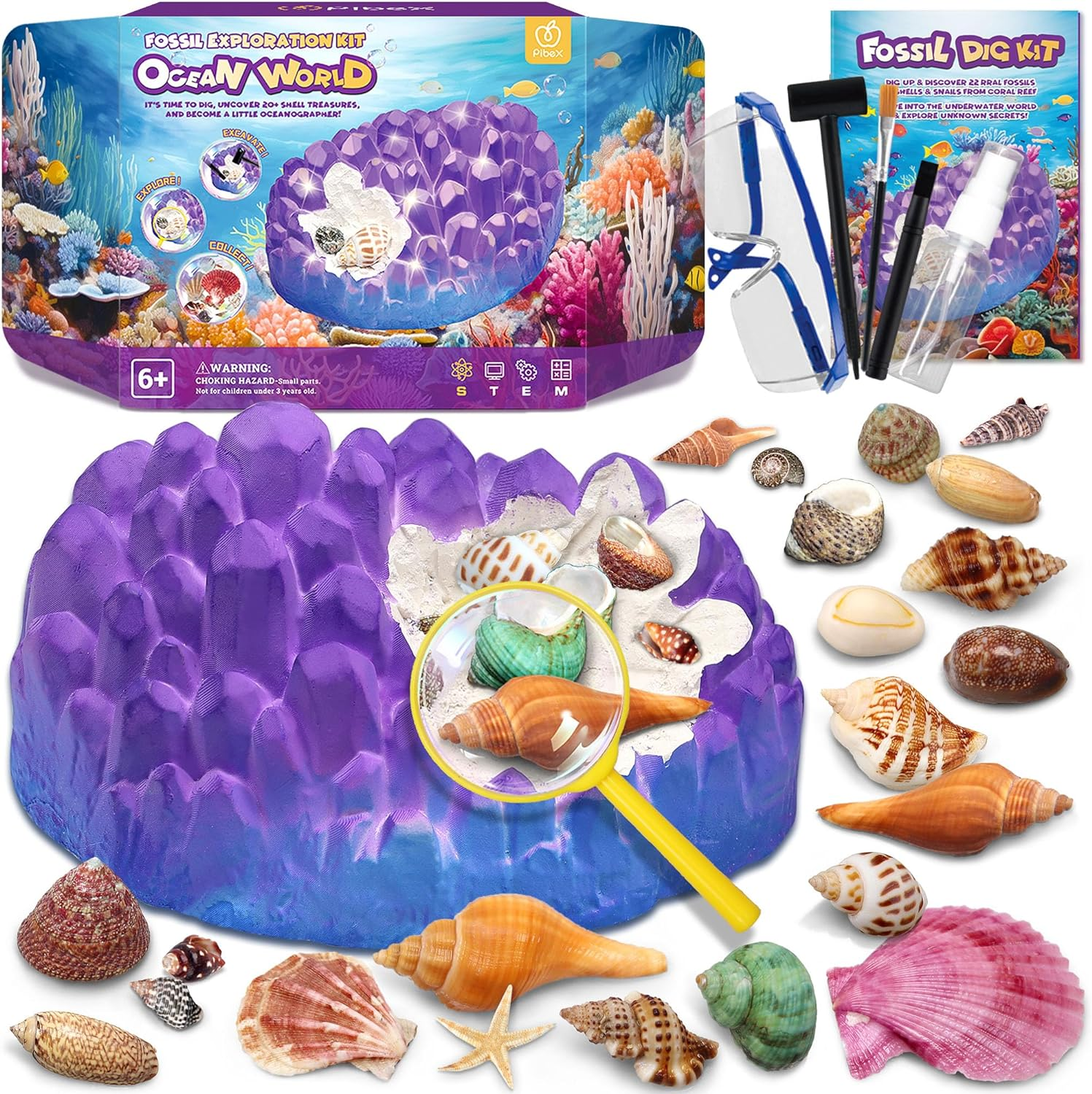 PIBEX Ocean Fossil Dig Kit, Dig up 20+ Real Shells & Seasnails, STEM Educational Activity Set Sea Creatures Excavation Toy for Kids, Marine Biology Geology Science Kit, Toy for Boys and Girls Age 6+ image number 3