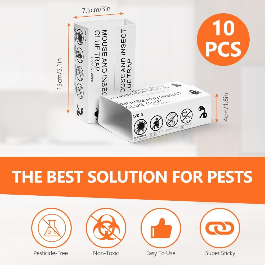 AMFUN Spider Trap, 10 Pieces anti Cockroach Traps, Adhesive Trap, Sticky Spider Catch for Indoor Apartment Shackles and Spiders, Poison Free image number 6