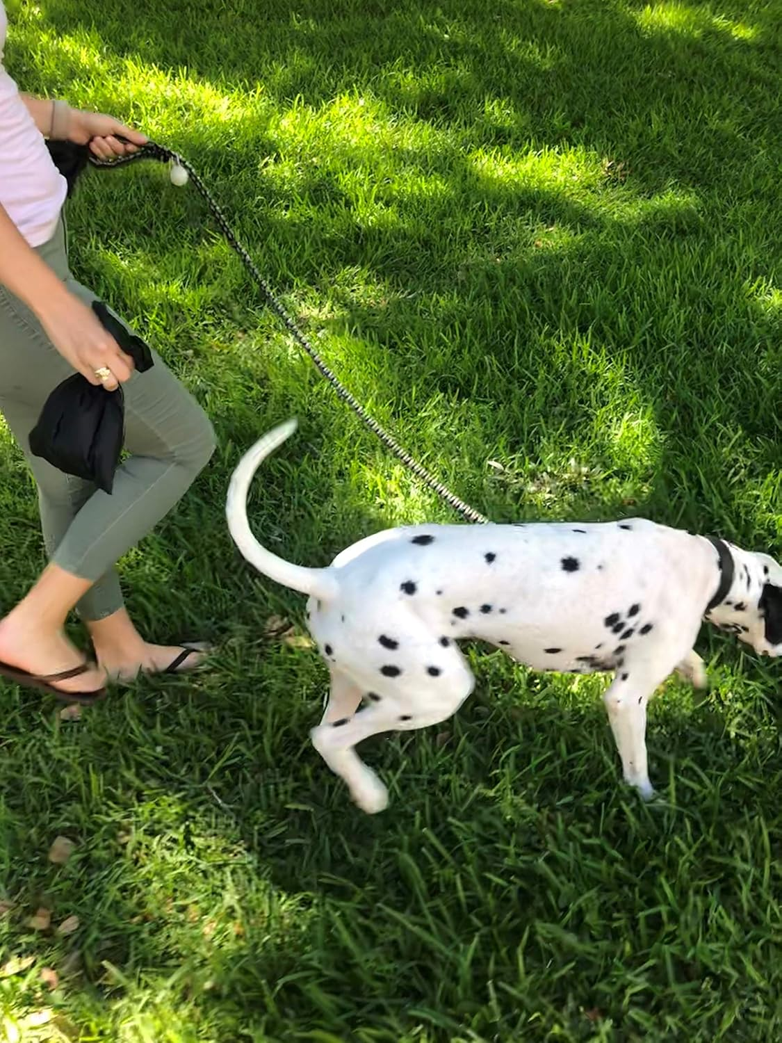 Biobag Premium Pet Waste Bags image number 5