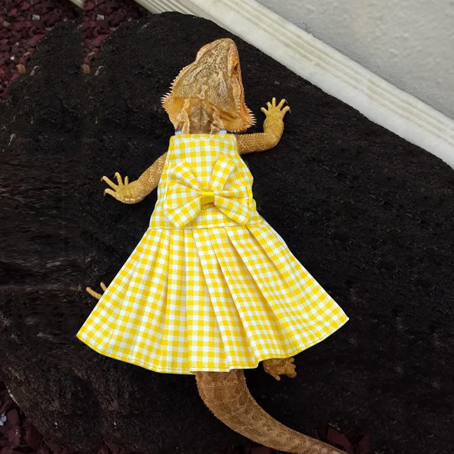 Lizard Clothes for Bearded Dragons Reptile Apparel Accessories Costume for Skin Protection Holiday Photo Party image number 1