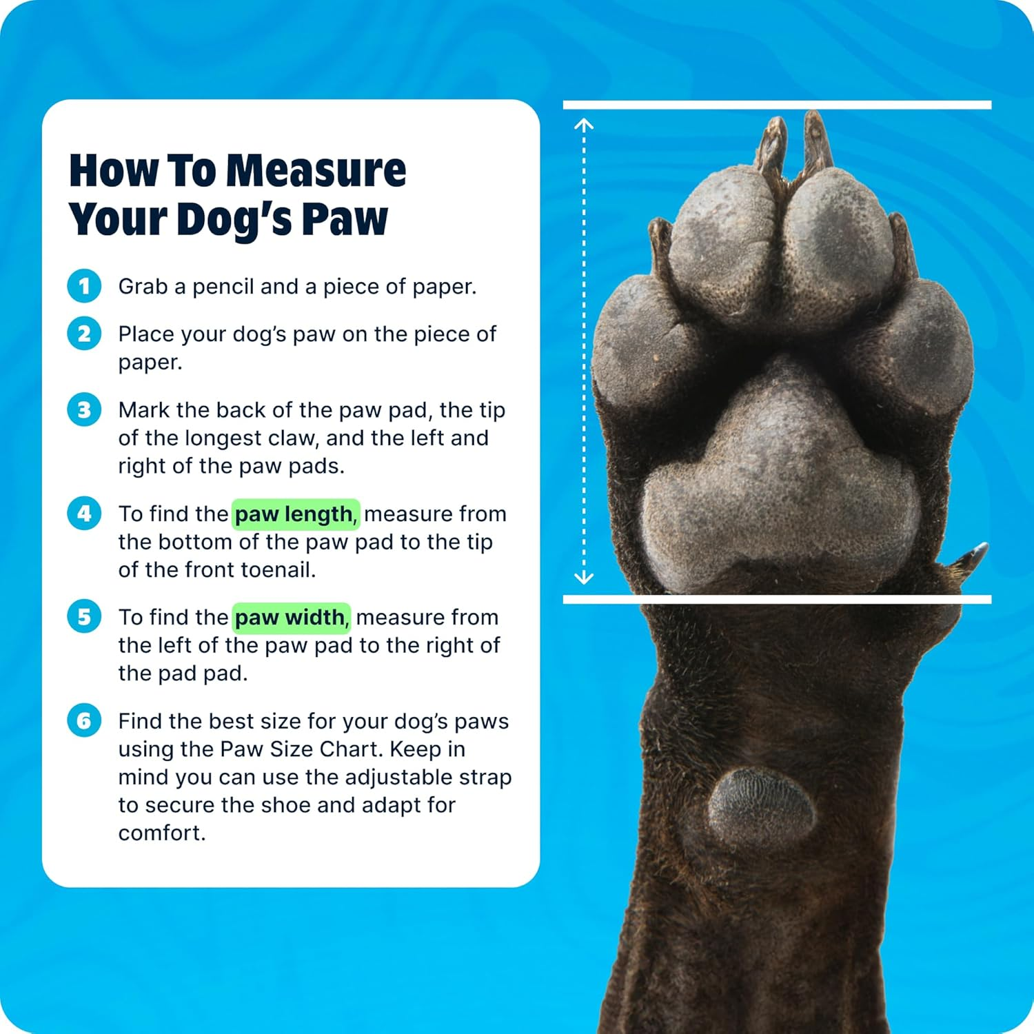 Barkbox Yellow Crocs Dog Shoes - Booties for Small Dogs 15-25 Lbs | EVA Foam with Adjustable Strap, Breathable, Glow-In-Dark image number 5