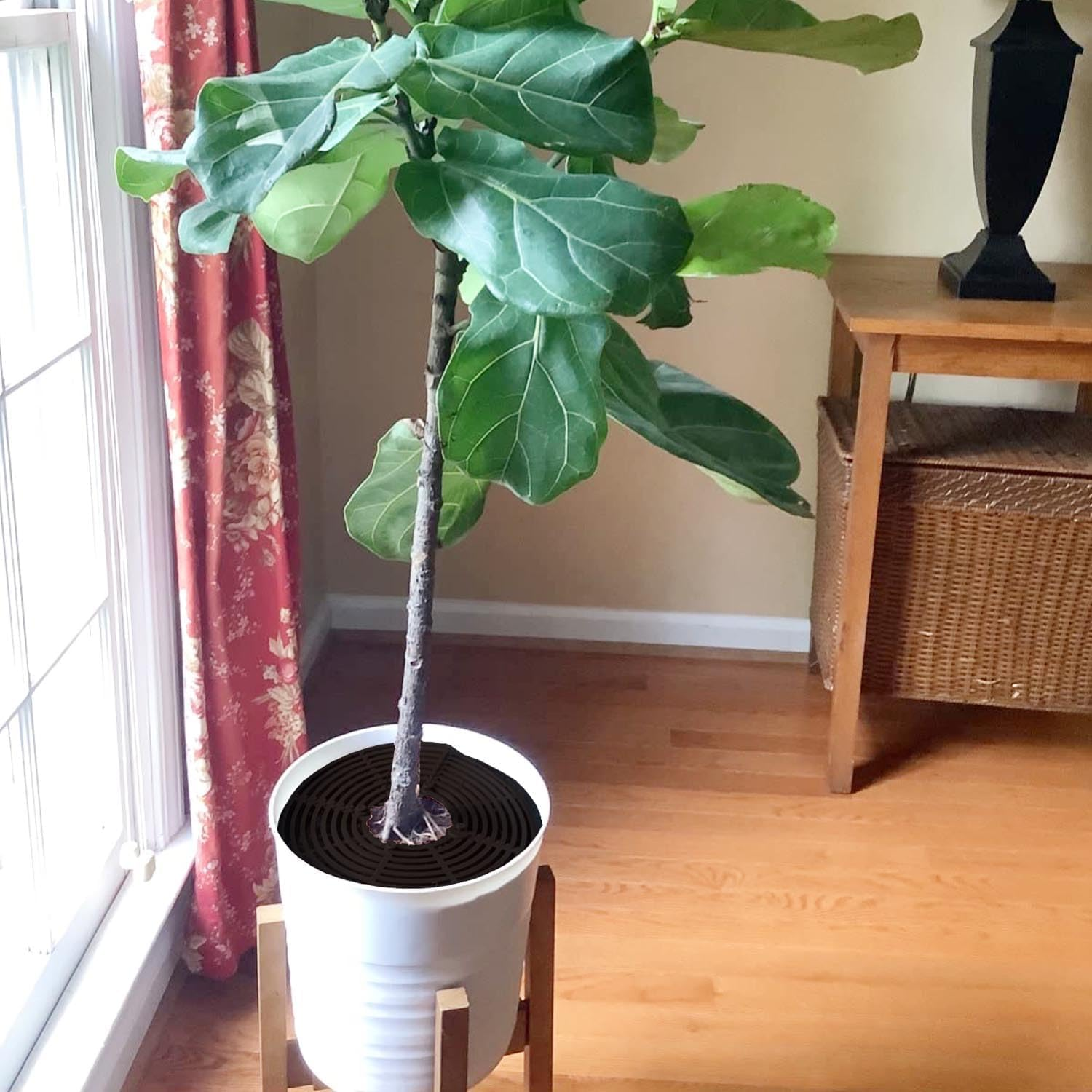 2 Pack Plastic Plant Pot Grid Cover and Protector - Flower Pot Soil Cover with 16 Stakes, Cuttable (Black, M)