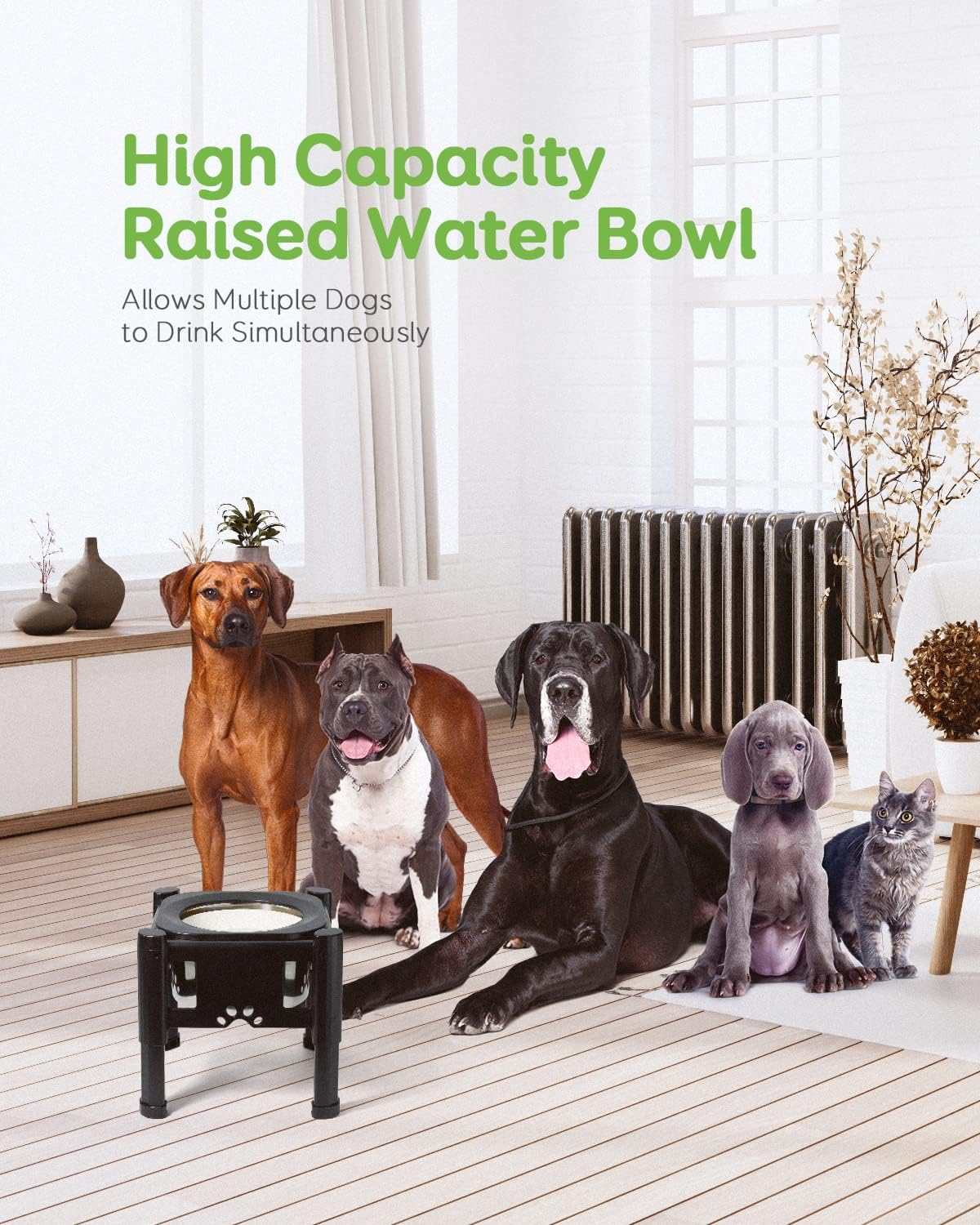 Pawque Elevated Dog Bowls, 80Oz Stainless Steel Water Feeder with 3 Adjustable Heights, Anti-Spill Design for Small to Medium Sized Dogs image number 5