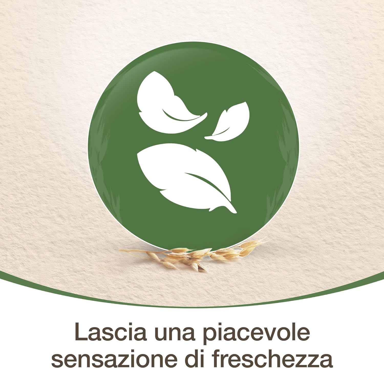 Aveeno. Bath Gel Day Cleanser Lightly Scented Natural Oatmeal Suitable for Dry And/Or Sensitive Skin 500Ml image number 1