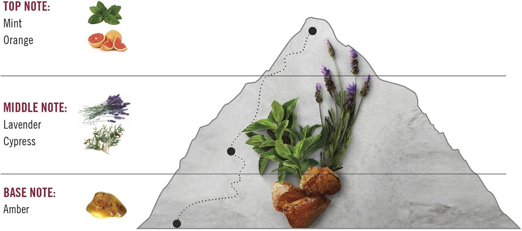 Swiss Army Eau De Toilette Spray, 100Ml, 3.4 Fl. Oz. (P40102) image number 2