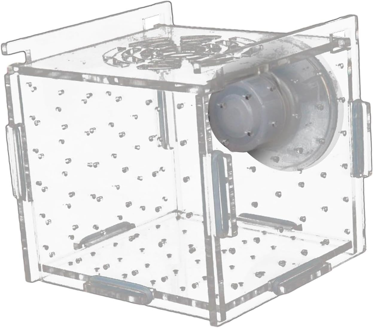 Dualoai Clear Acrylic Fish Breeding Enclosure for Aquatic Pets, 8Cmx8Cmx8Cm