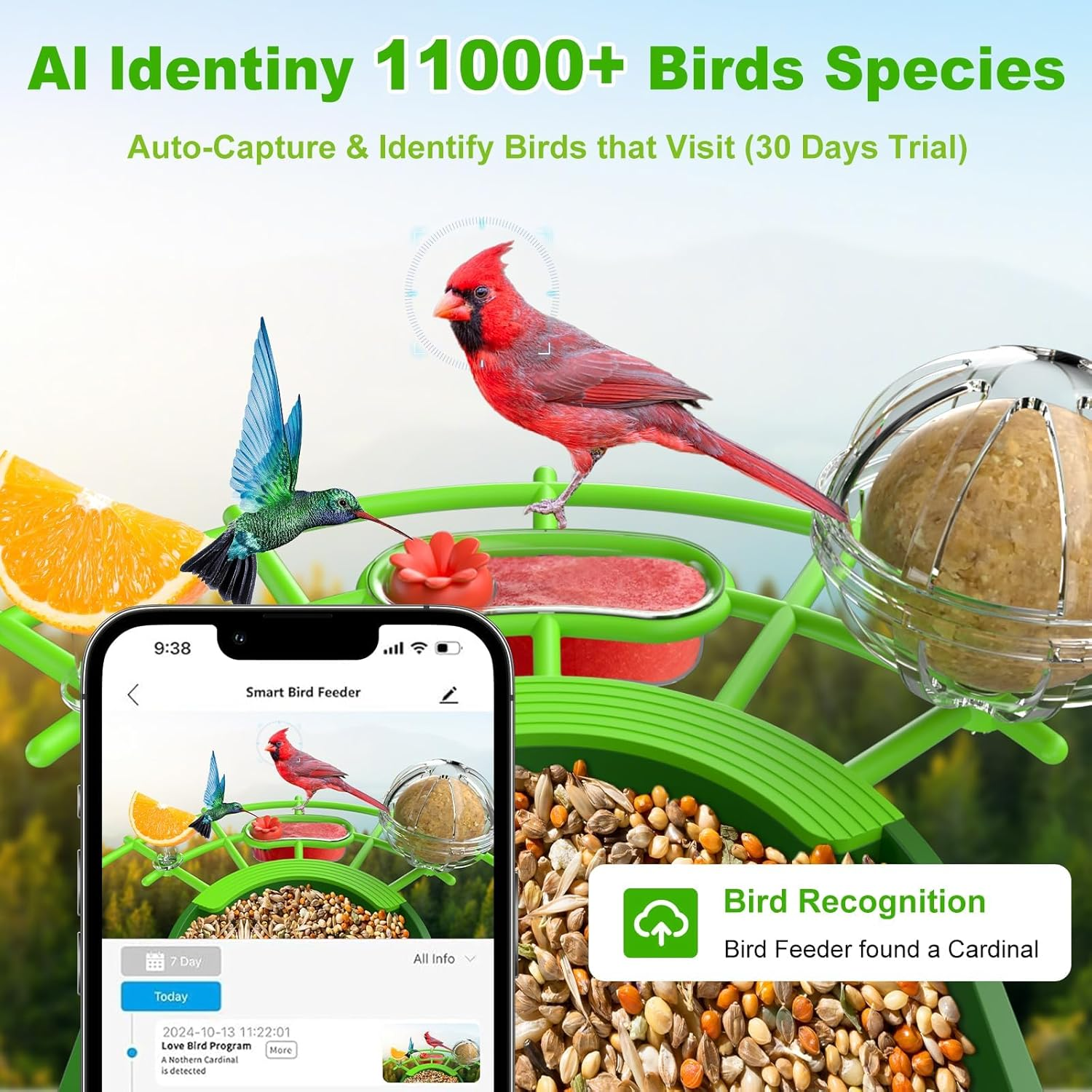 Bird Feeder with Camera, Solar Powered, AI Identifies 11,000+ Bird Species, IP66 Weatherproof, Auto Capture 3K HD Birds Video, Bird House with Cam, Outdoor Bird Feeder, Ideal Gifts for Bird Lover image number 6