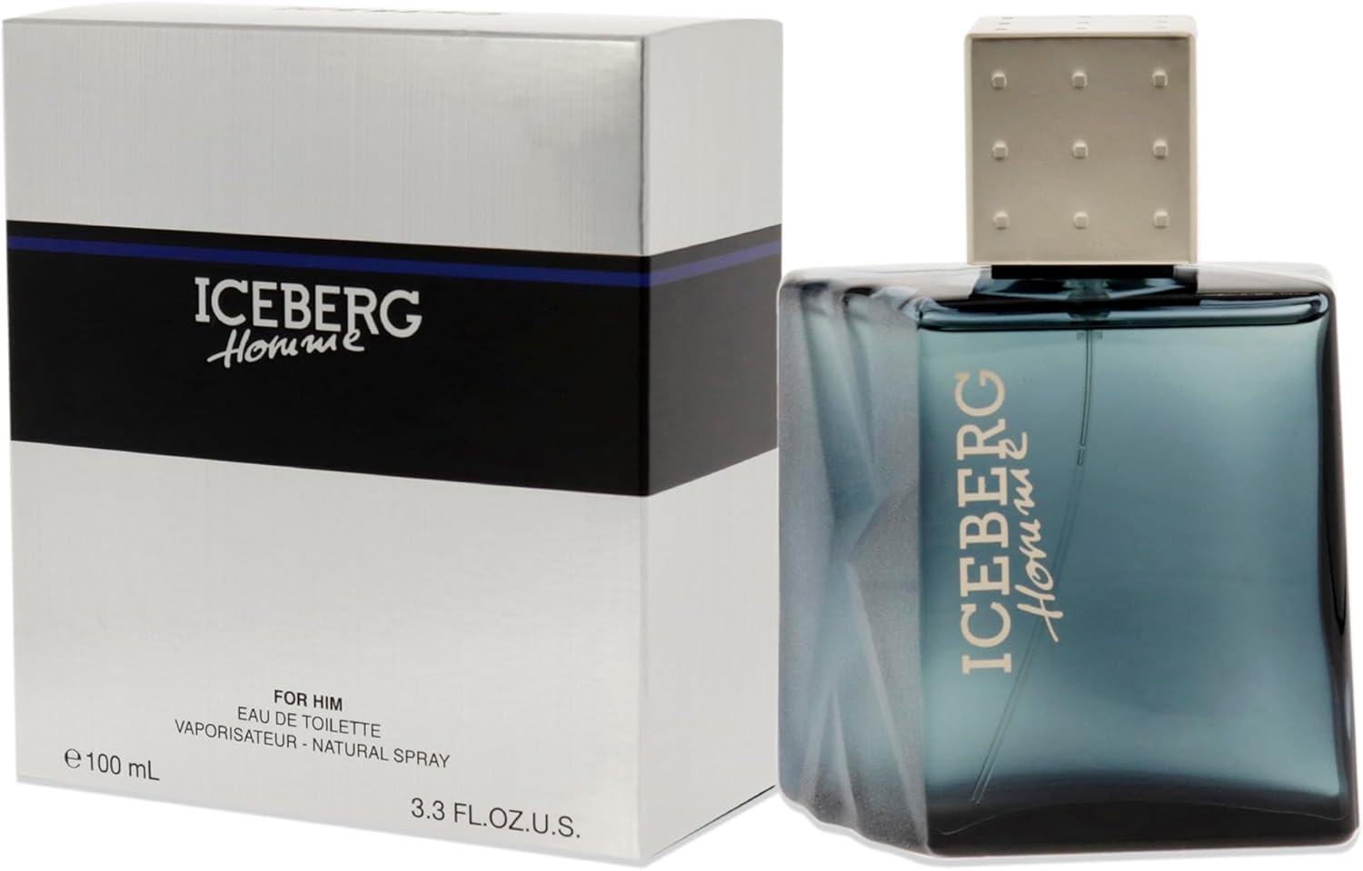 Iceberg Homme by Iceberg for Men - 3.3 Oz EDT Spray image number 2
