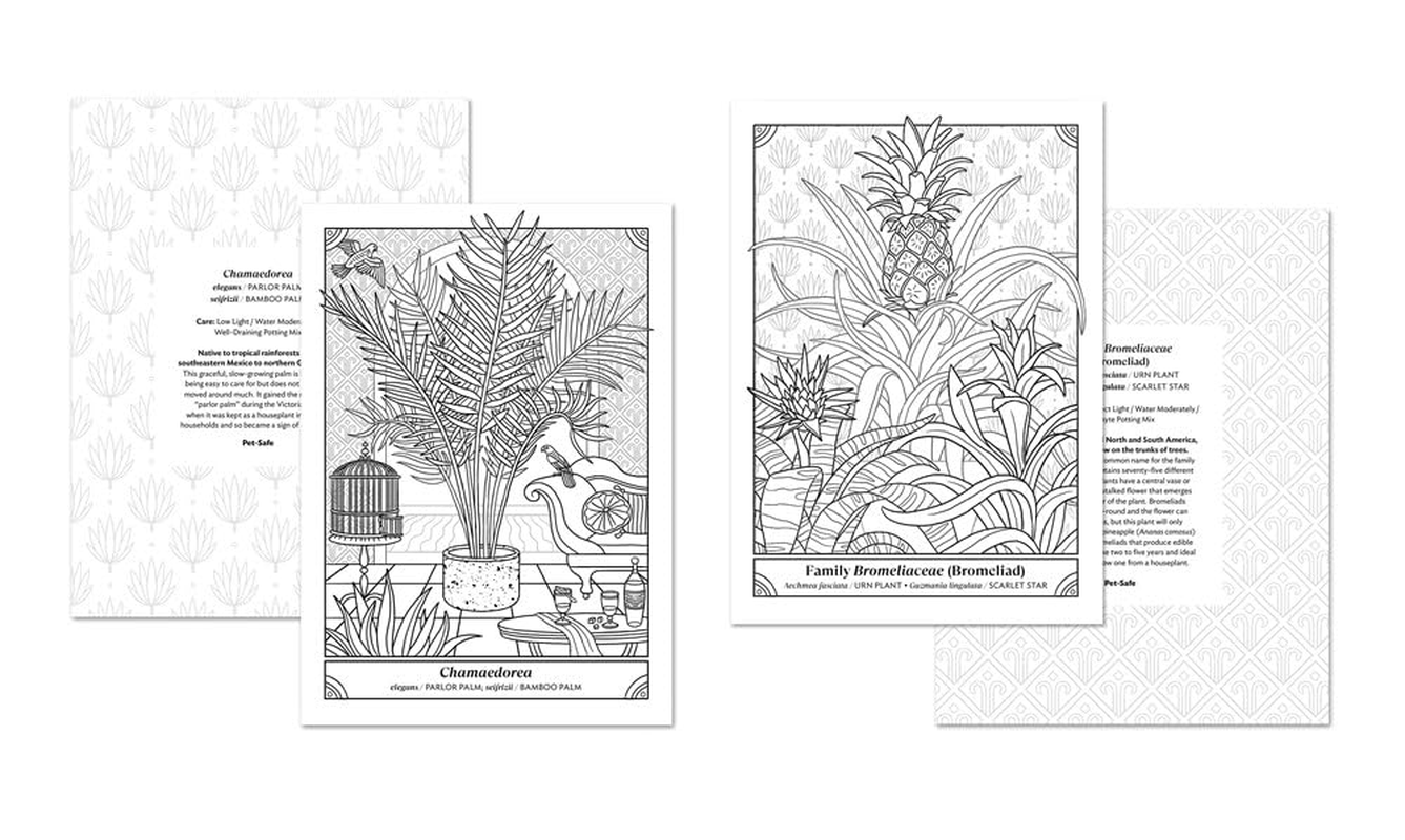 The Happy Houseplant Coloring Book: 50 Plants to Color and Care For: an Indoor Gardening Coloring Book image number 6