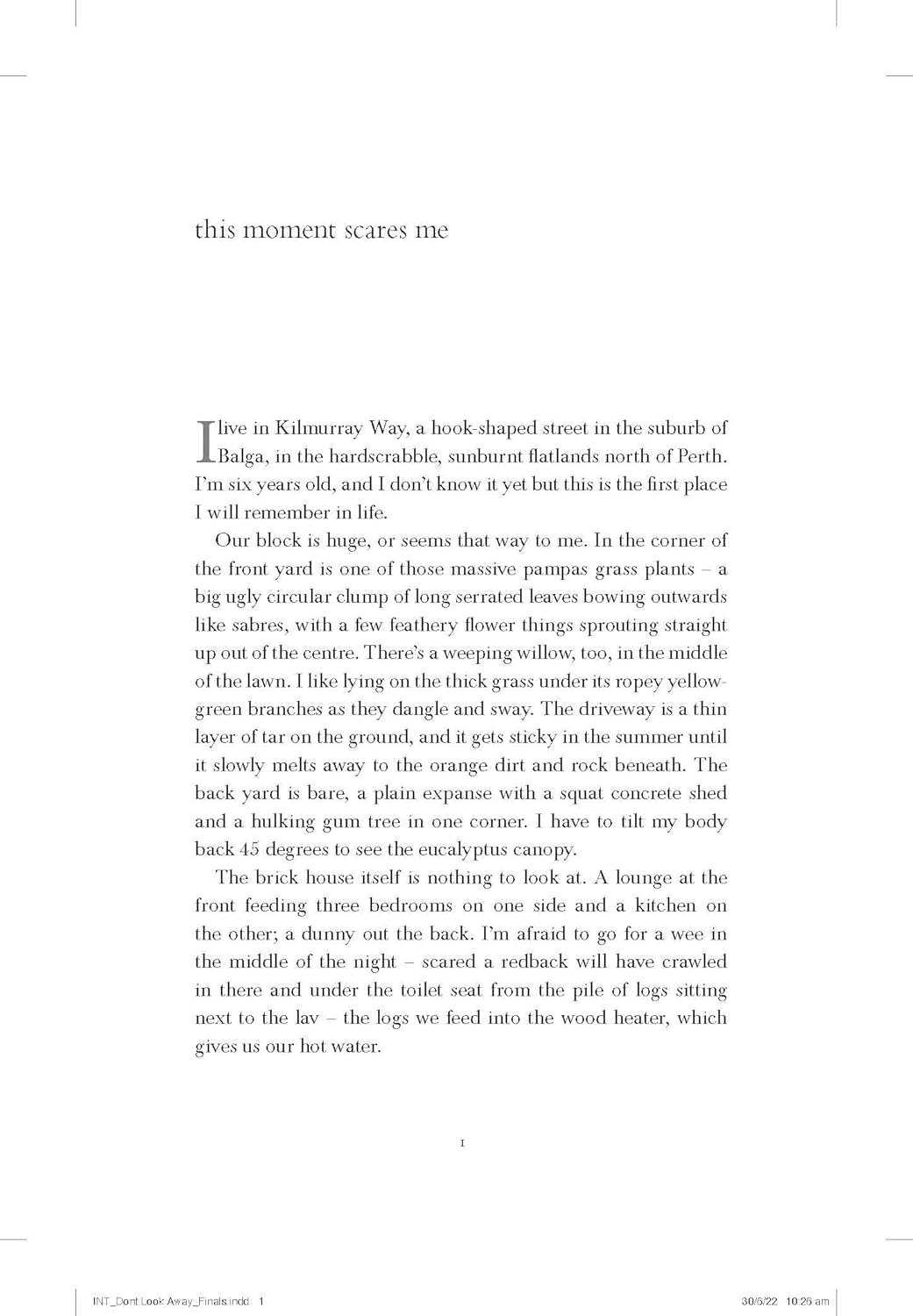 Don'T Look Away: a Memoir of Identity & Acceptance image number 2