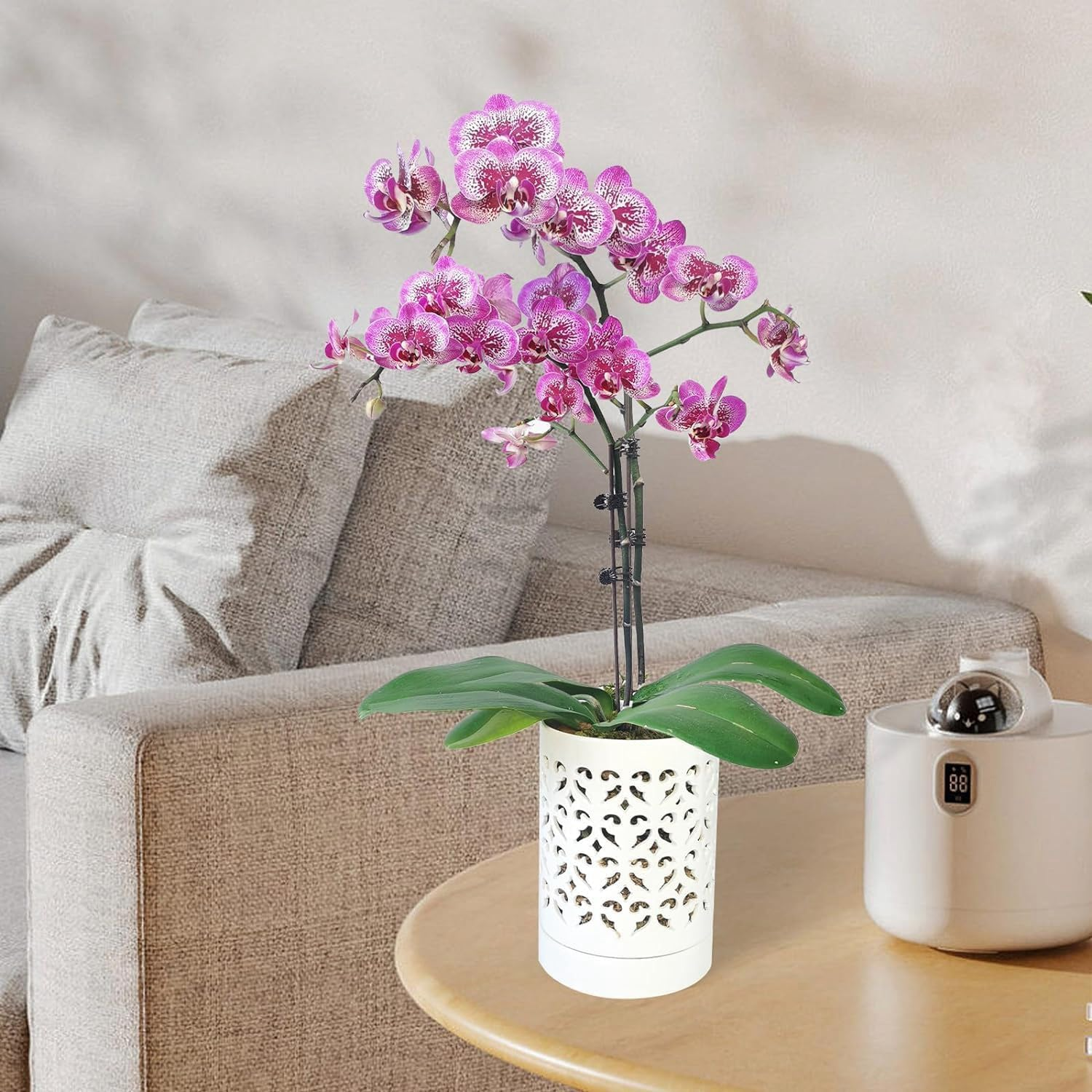 Orchid Pots with Holes,4 Inch Ceramic Orchid Pot for Repotting, Flower Planter Pot Indoor Outdoor, Breathable Easy Install Easy to Use White image number 3