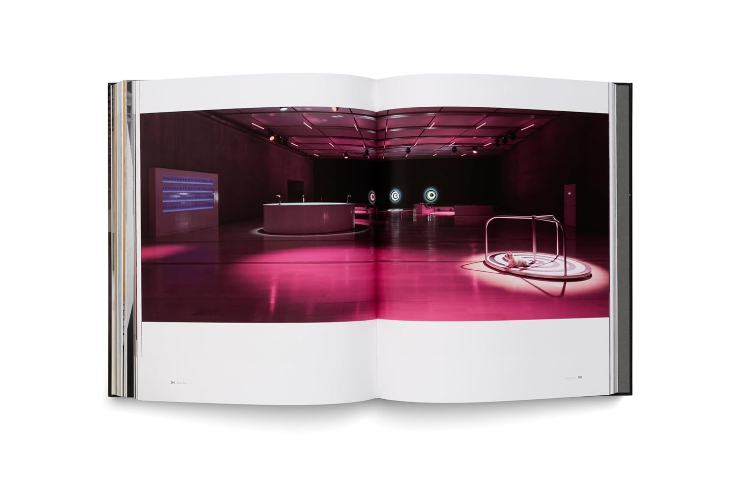 Elmgreen & Dragset: Spaces image number 5