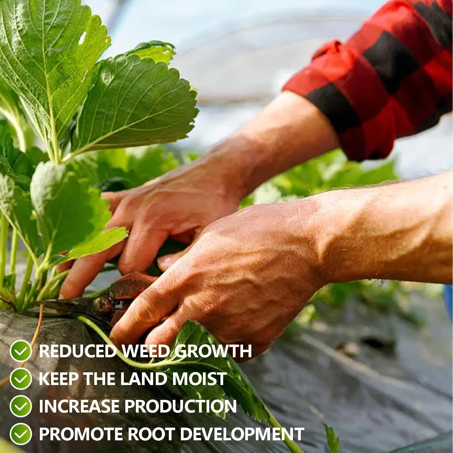 1PCS (2Mx30M) Heavy Duty Weed Barrier Fabric | Woven Weed Control Mat, UV Resistant Landscape Ground Cover for Garden, Pathways, Driveways | Breathable & Durable Weed Mat image number 6