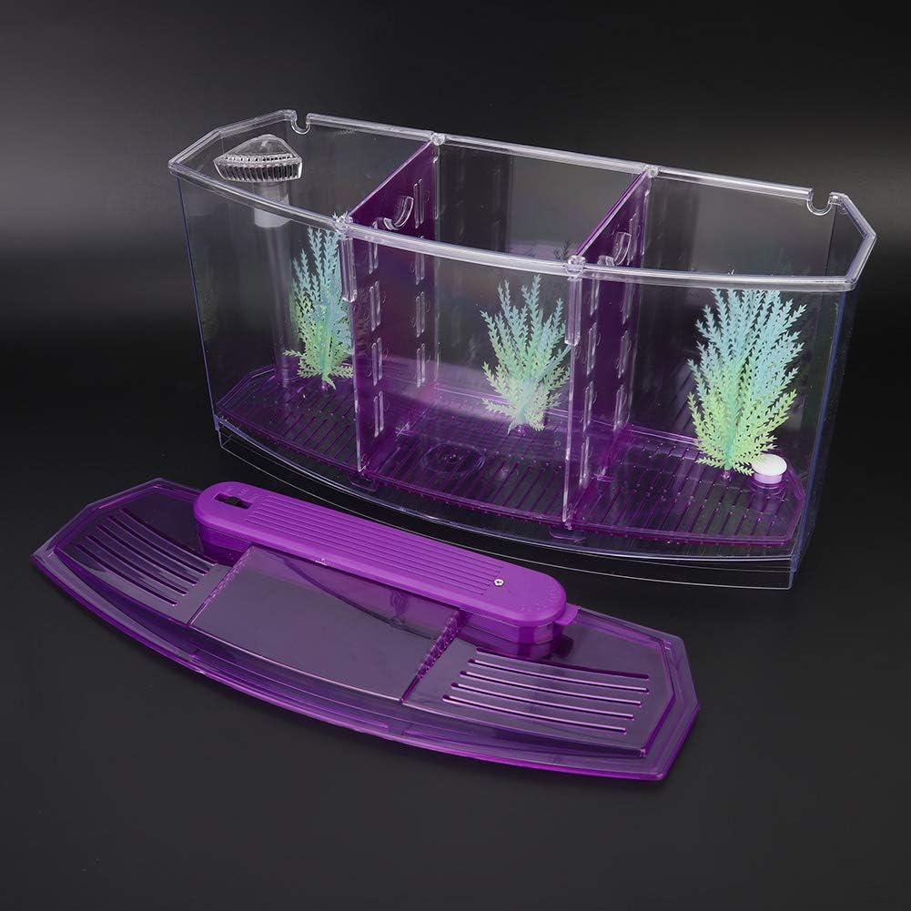Three Areas Small Aquarium, Transparent Fish Tank, Desktop with Water Change Valve with LED Light for Betta Small Fishes(Purple 11X3.9X5.9In)