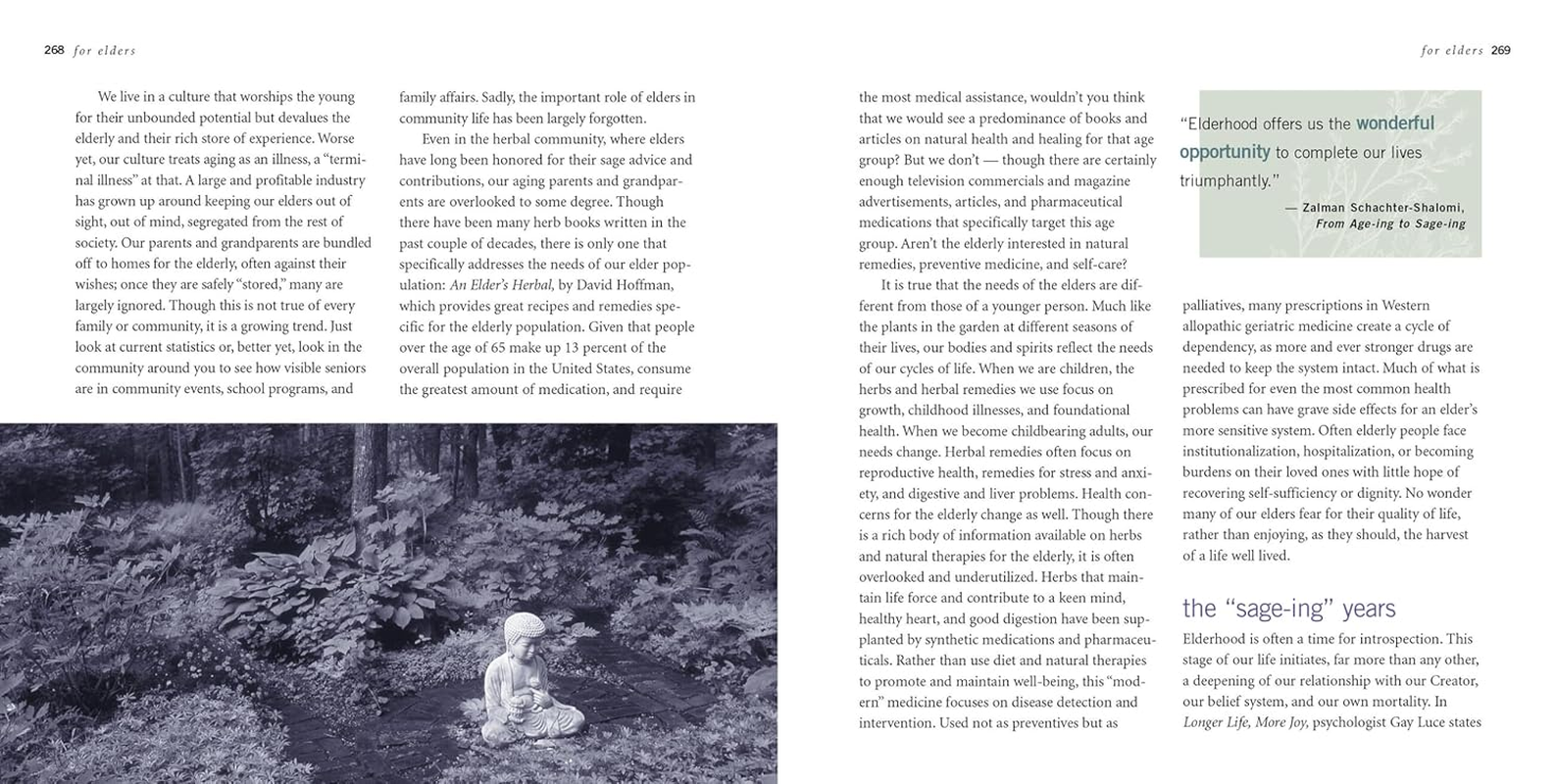 Rosemary Gladstar'S Herbal Recipes for Vibrant Health: 175 Teas, Tonics, Oils, Salves, Tinctures, and Other Natural Remedies for the Entire Family image number 2