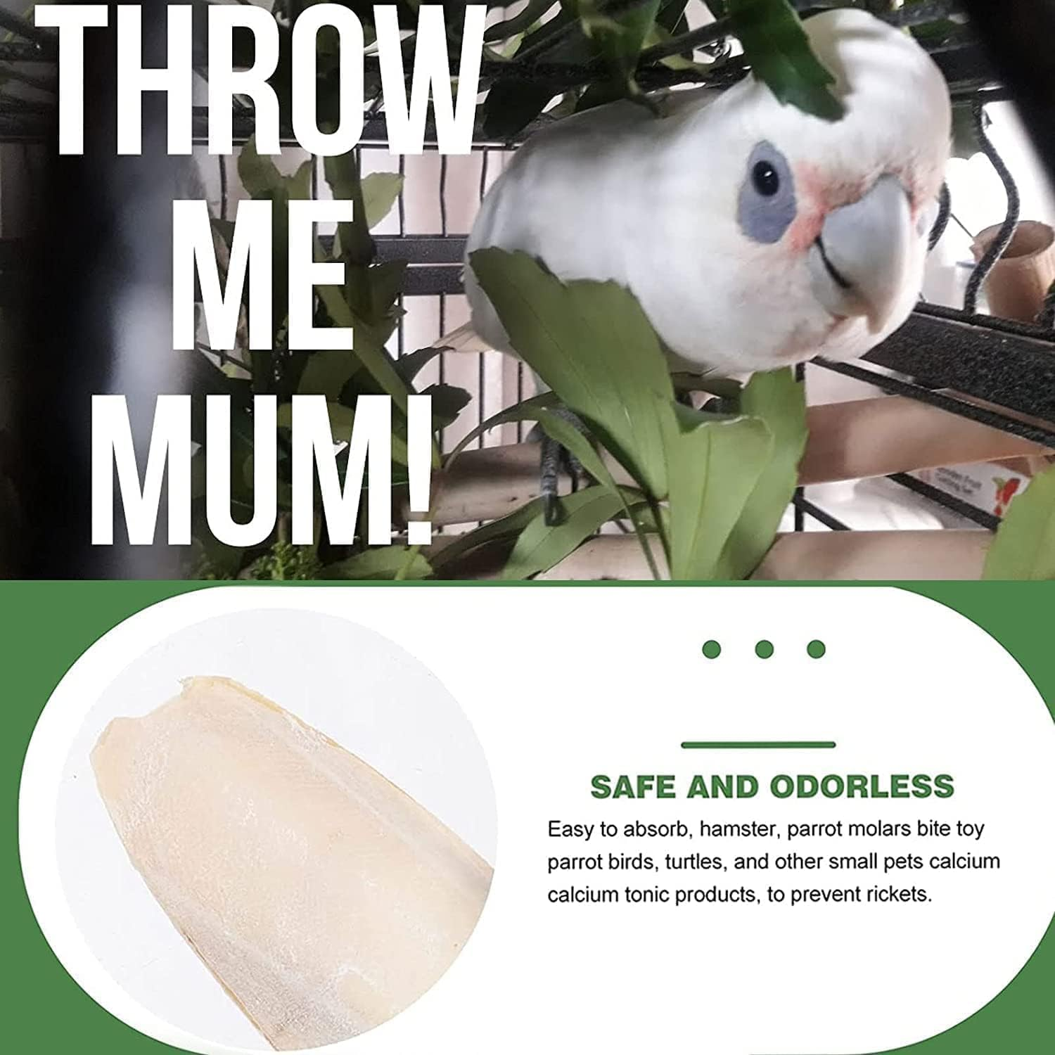 Powerful 10PCS Cuttlebone Cuttlefish Bone Natural Cuttlefish for Birds Tortoise Snails Budgies for Molar & Nutrition Needs image number 2