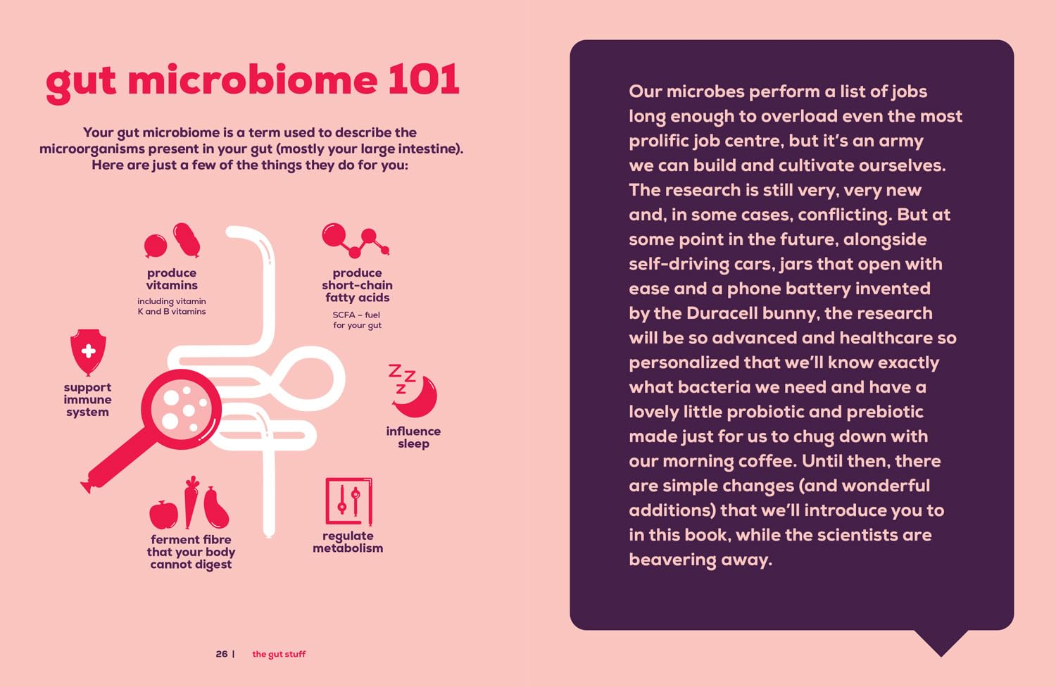 The Gut Stuff: Your Ultimate Guide to a Happy and Healthy Gut image number 2