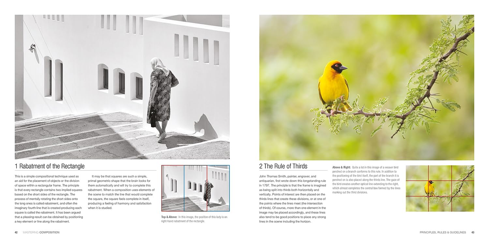 Mastering Composition: the Definitive Guide for Photographers image number 6