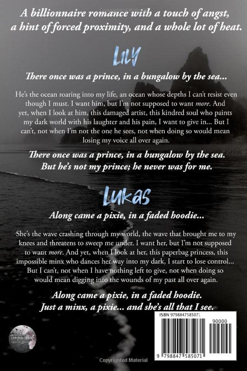 Lukas, Sometimes: a Billionaire Romance image number 1