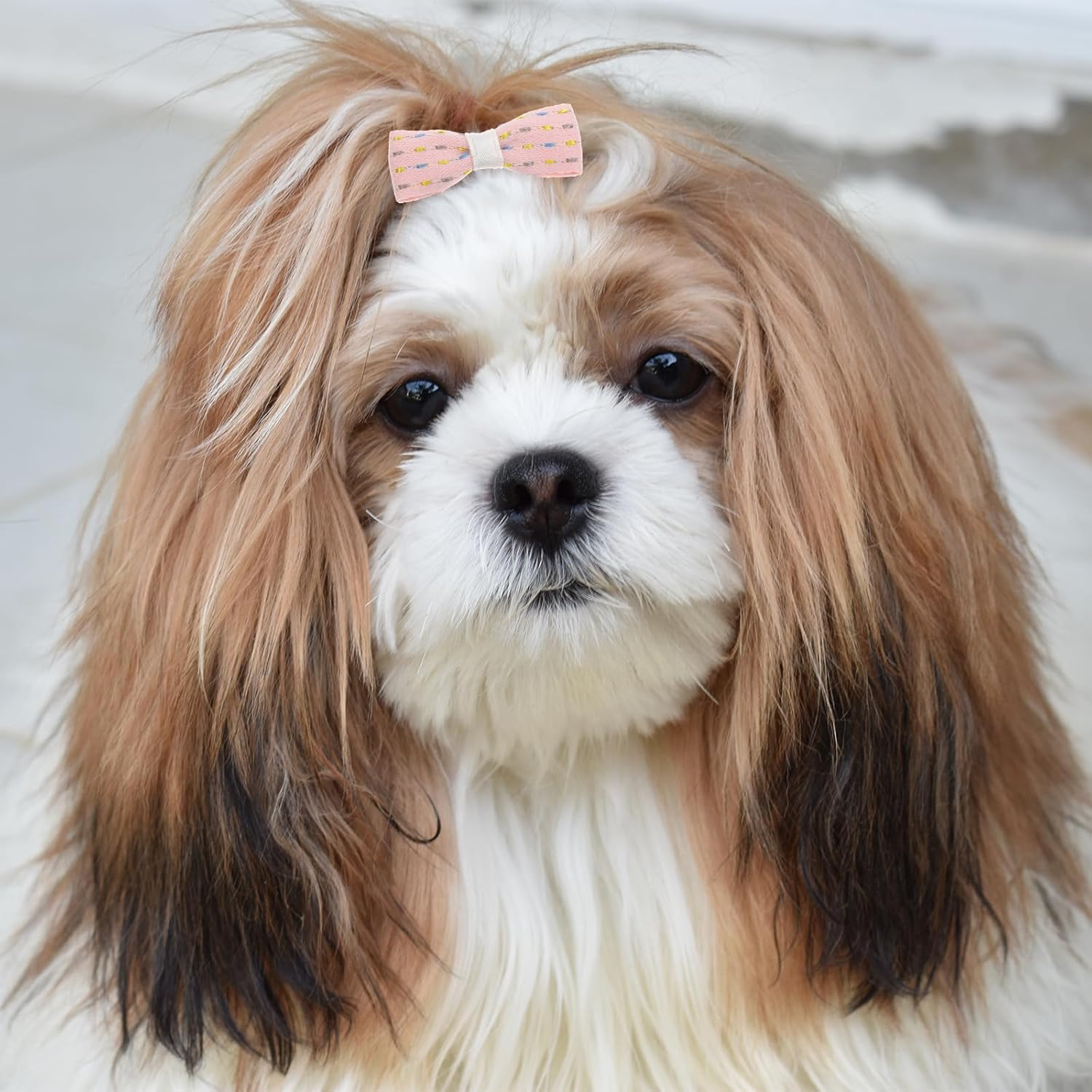 Giantree 20 Pcs Pink Dog Hair Bows for Small Dogs, Cute Dog Bows with Rubber Bands, Comfortable All-Season Hair Ties for Small Breeds (Pink)