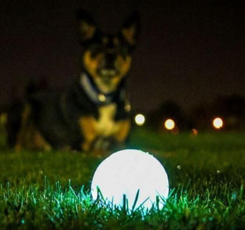 Chuckit! Max Glow Ball, Medium, 2 Pack image number 4