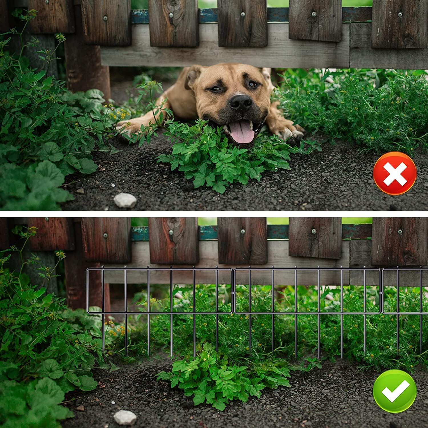 Decorative Garden Fence 2 Pack, Total 26In (L) X 17In (H) No Dig Rustproof Metal Wire Fencing Border Animal Barrier, Flower Edging for Landscape Patio Yard Outdoor Decor, Square image number 3