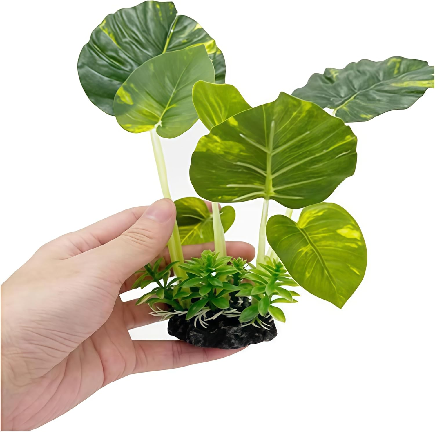 6Pcs Buddha Set,Fish Tank Decorations Aquarium Decoration Small Ornaments Accessories Betta Fish Rest Leaf Buddha for Household and Office Aquarium Simulation. image number 4