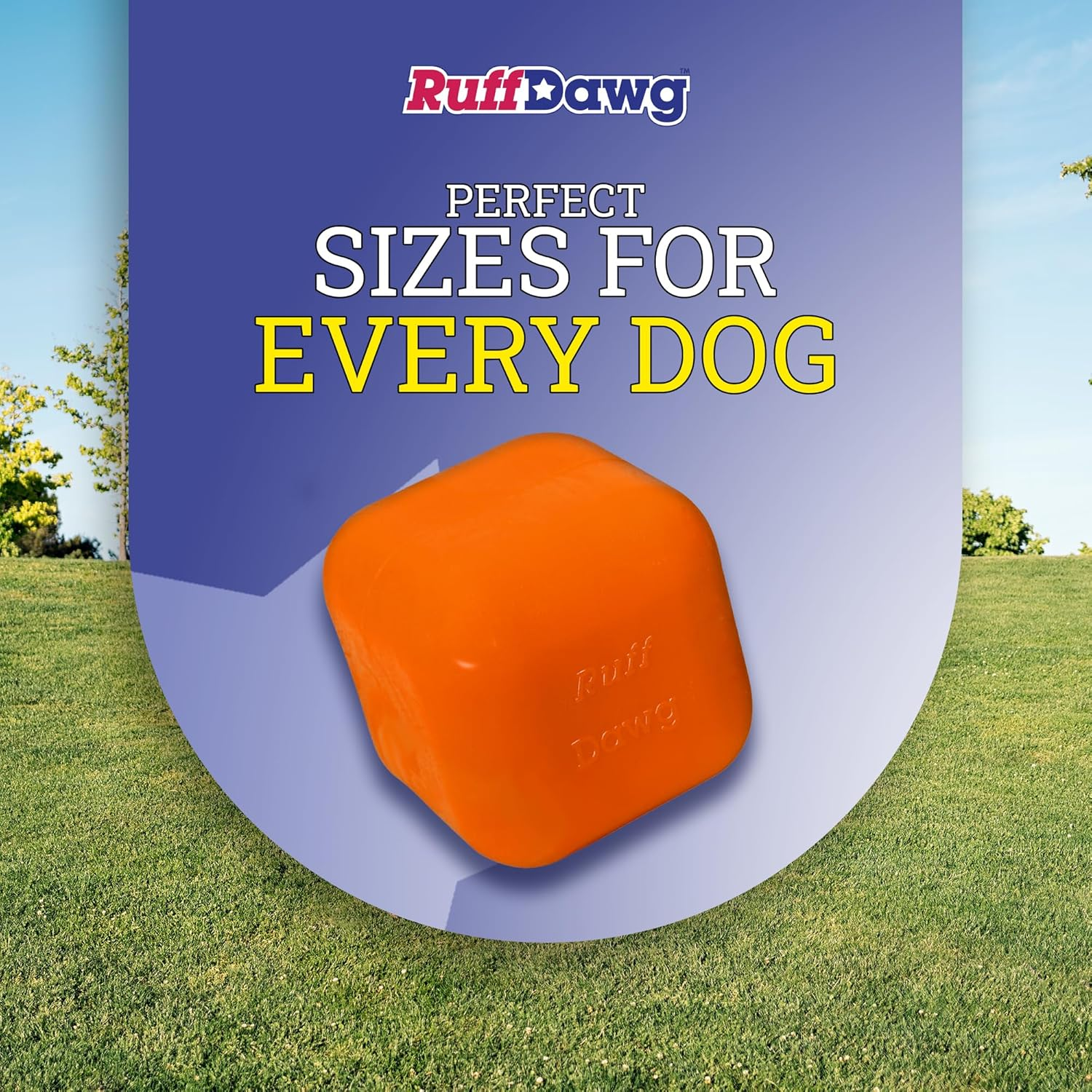 Ruff Dawg Indestructible Dawg-Cube Dog Toy - Crazy Bouncing Toy, Retrieving, Fetch, Made in the USA, Floats, 2.5 Inches Square, up to 40Lbs image number 3