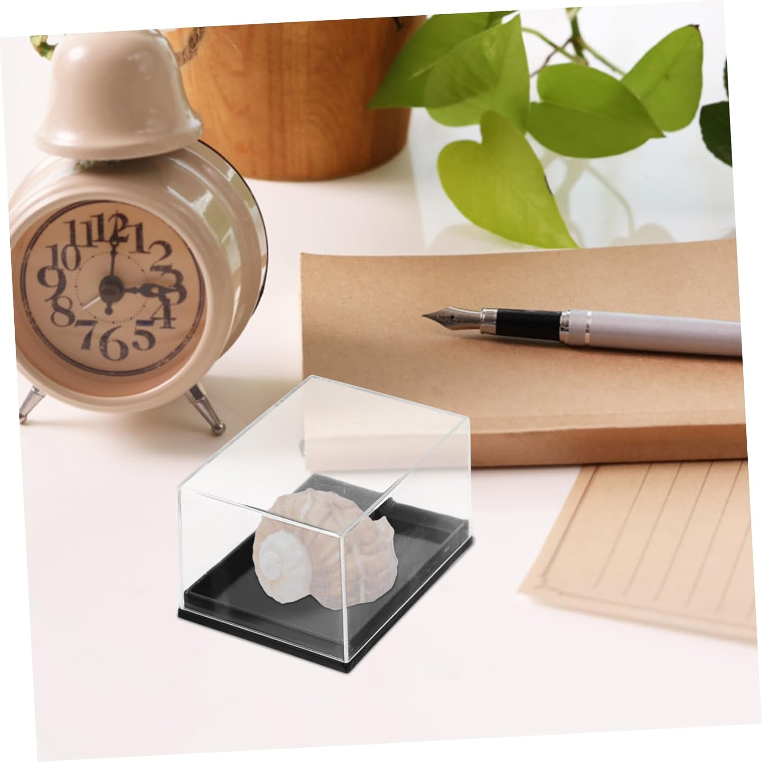 STOBAZA Mineral Specimen Display Box Set, 4Pcs Small Storage Case Lid, Plastic Specimen Storage Container for Jewelry and Mineral Collections in Australia image number 4