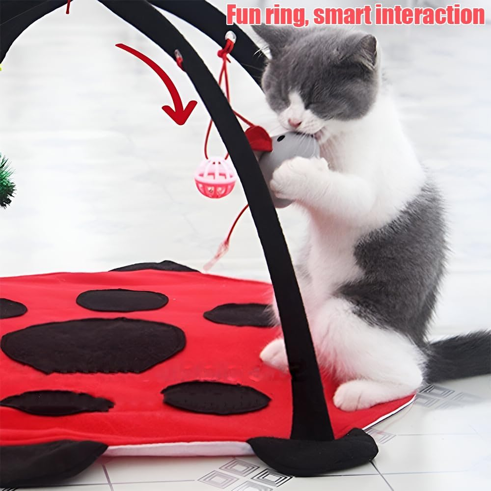 Cats Hammock, Foldable Cat Bed Mat, 45 * 45 * 34Cm, Washable, Cat Activity Center, Helps Cats Get Exercise Stay Active, Red and Black