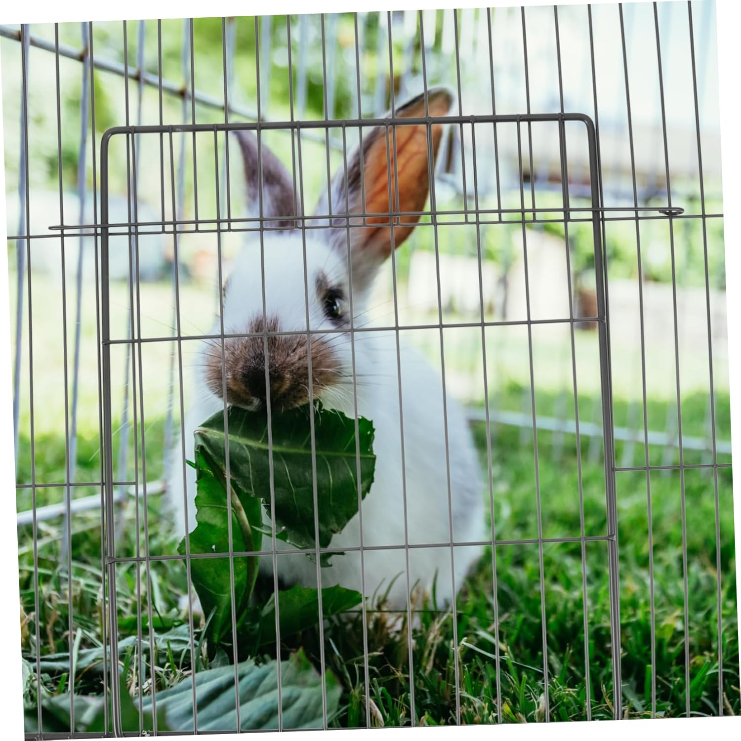 Kisangel DIY Cat Cage Door Wire Mesh Pet Fence Panel for Rabbit Dog Kennel Easy Assembly Pet Accessories image number 2