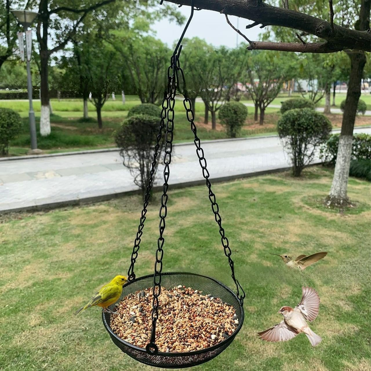 Hanging Bird Feeder Tray, Hanging Seed Tray, Bird Feeders for Attracting Birds, Outdoor Seed Bird Feeder Platform with 3 Chains and S-Shaped Hook for Wild Bird Seed Feeding image number 4