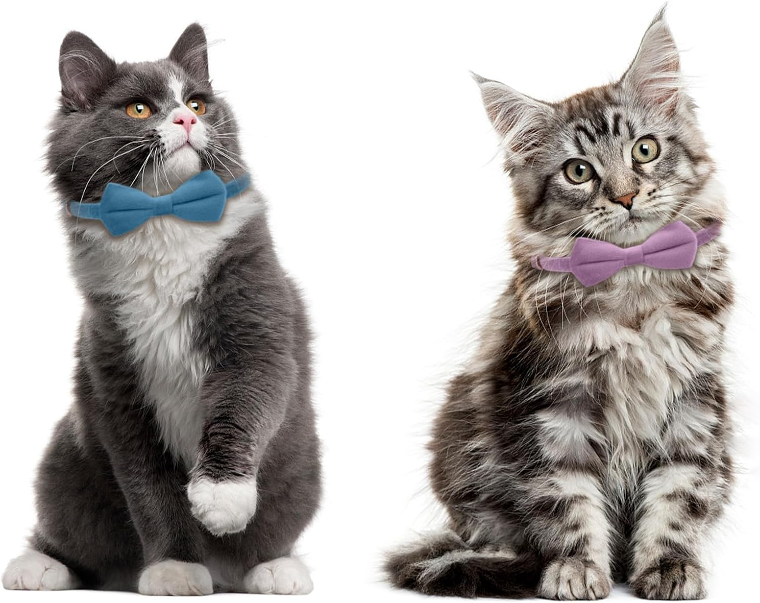 Asvin Velvet Cat Collar with Bell and Bow Tie, Adjustable Collar Cat for Weddings for Kitten Collar (Purple) image number 3