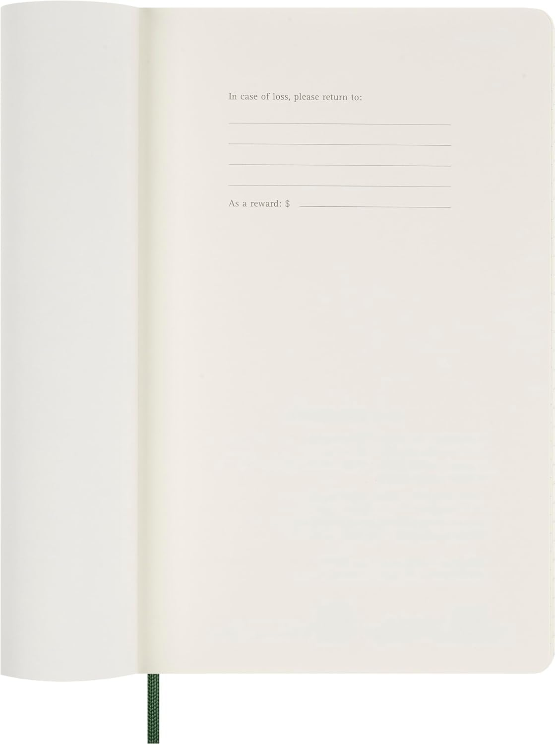 MOLESKINE - 2025-12 Month Daily Soft Cover Diary - Large - Myrtle Green image number 6