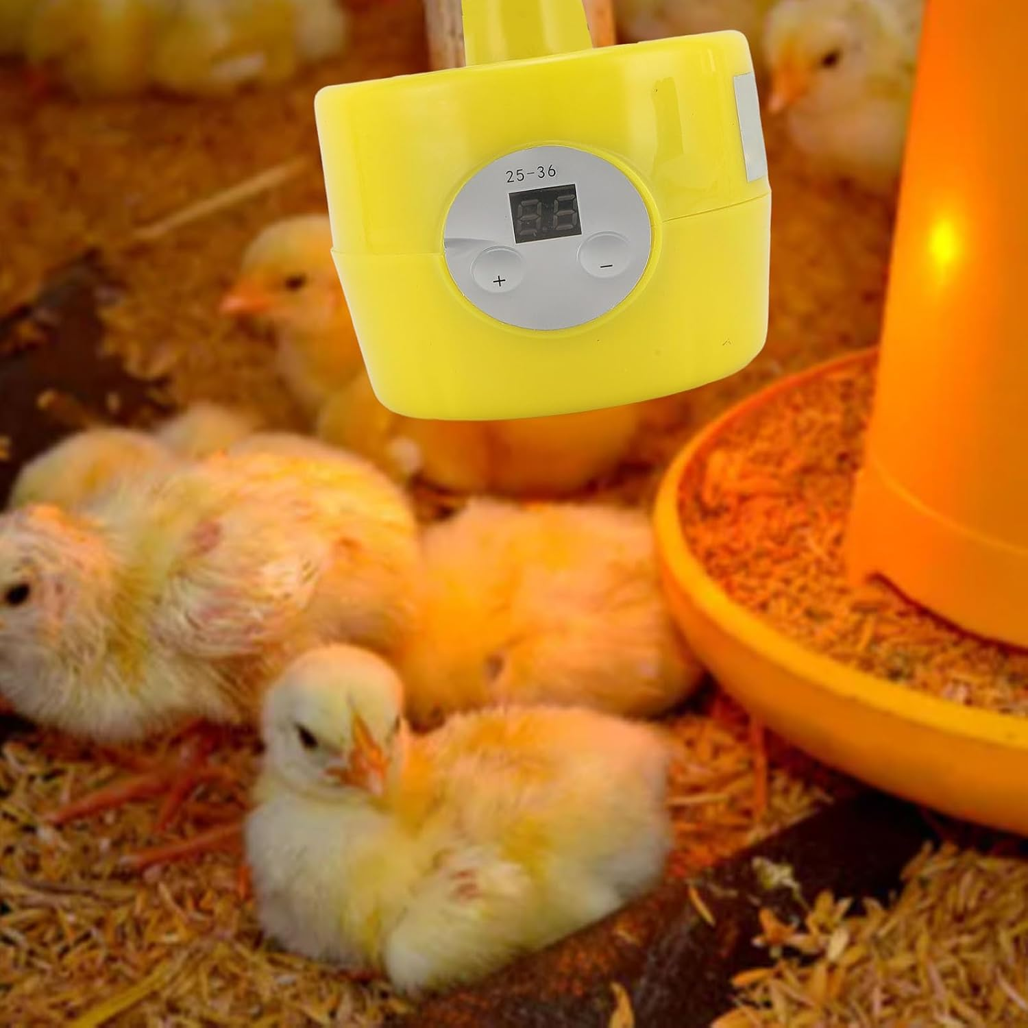 Chicken Coop Heater, Timing Heat Lamp for Chickens, Smart Efficient Heating Function Chicken Brooder Heater, Reptile Heating Lamp for Chicks Duck Dog Cats Poultry Pet image number 2