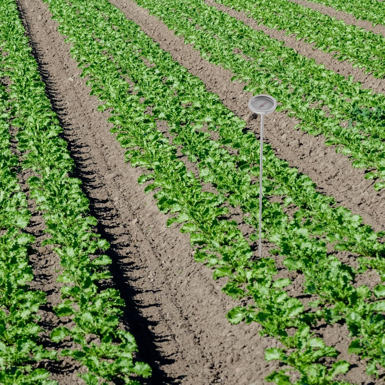 TEHAUX Stainless Steel Soil Thermometer Gardening Accessory Compost Temperature Detector for Precise Garden and Plant Moisture Measurement image number 6