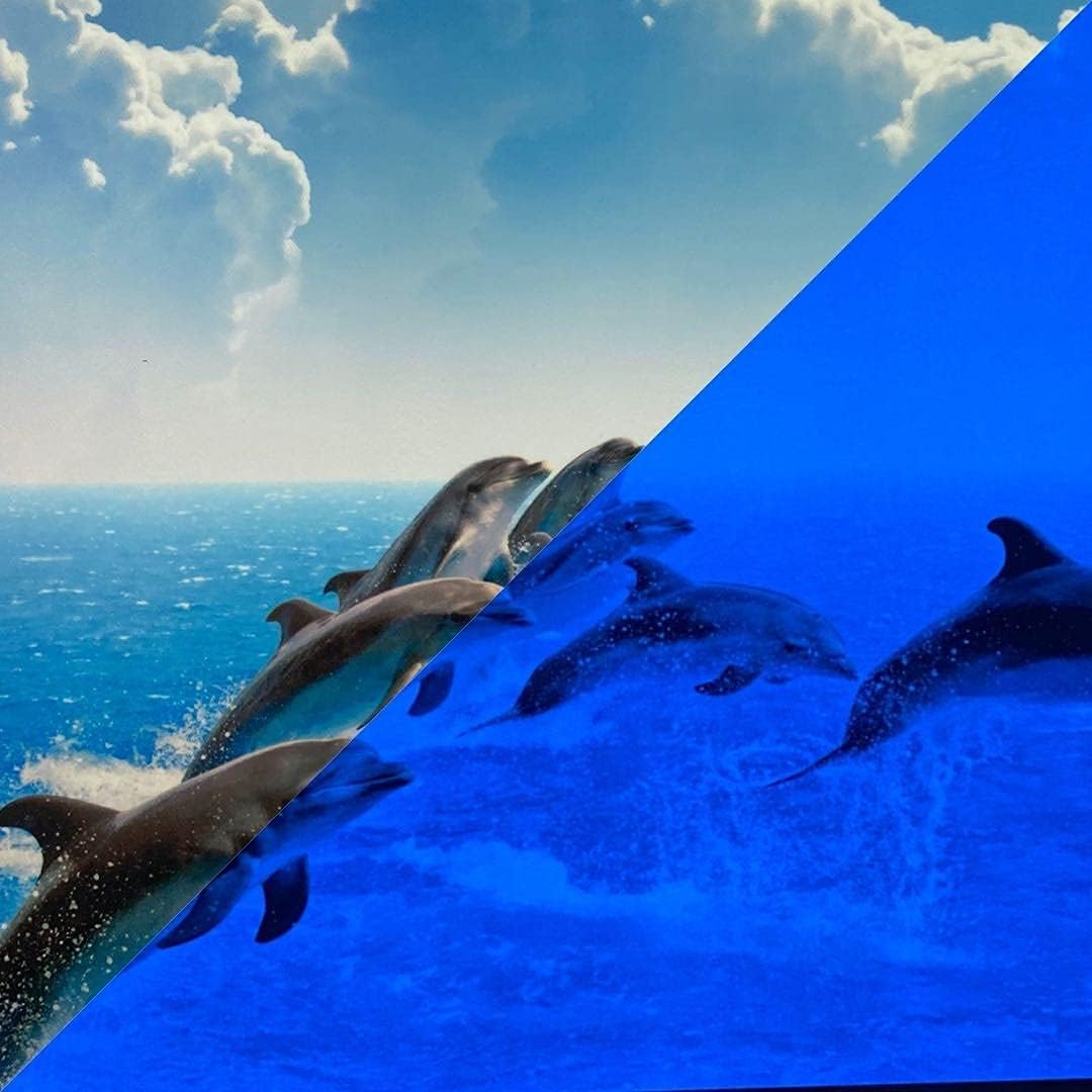 Glow in the Dark Photo Paper,Glow Paper,Glow in Dark Photo Paper,Glow in Dark Digital Paper Luminous Printing Paper Photoluminescent Inkjet Printing Paper for Pictures (5Pcs A4 Glow Blue)