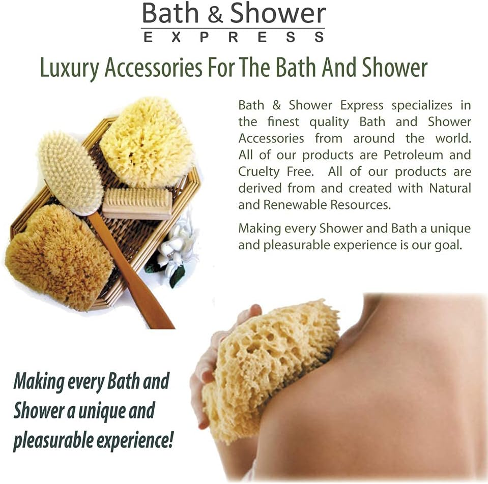 Sea Wool Sponge 13Cm - 15Cm (Large) by Bath & Shower Express a a Natural Renewable Resource image number 2