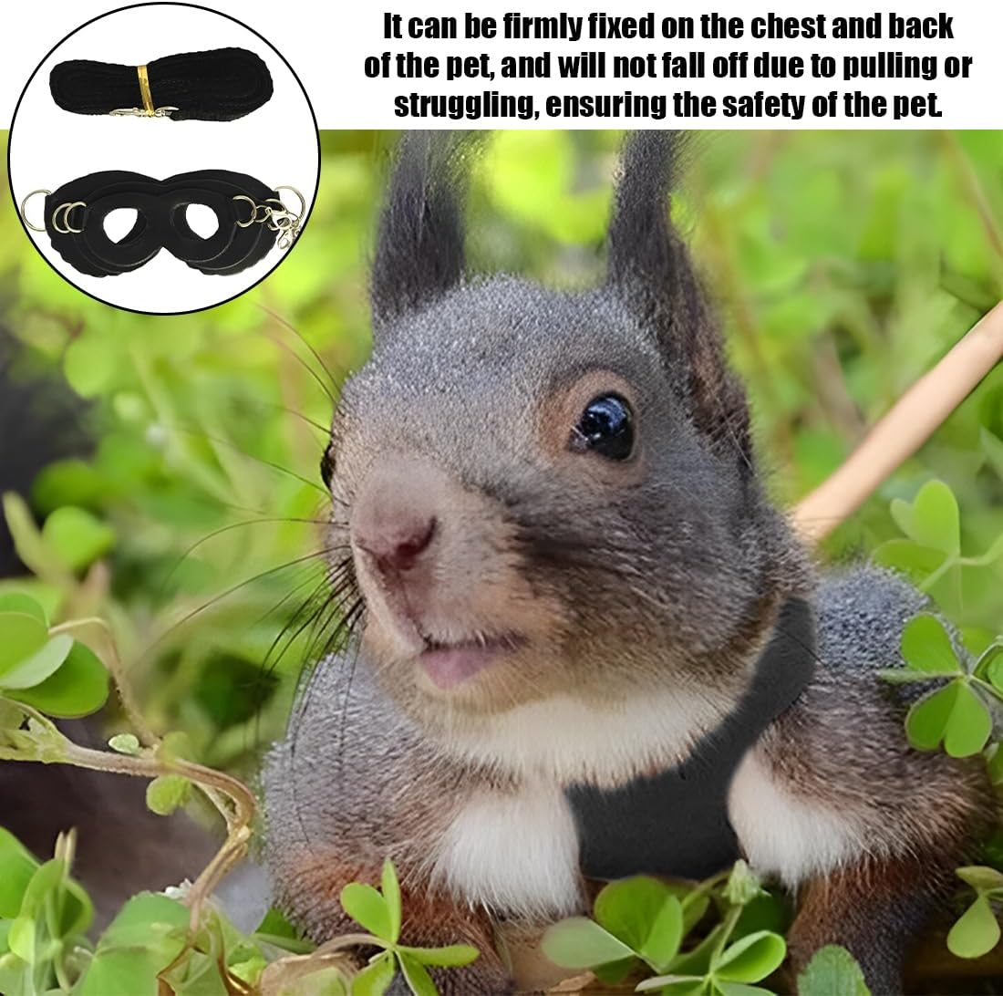 SGERUFZ 3 Piece Harness and Lead Set for Small Pets Training and Walks Vest for Squirrel Hamster Rat Black image number 5