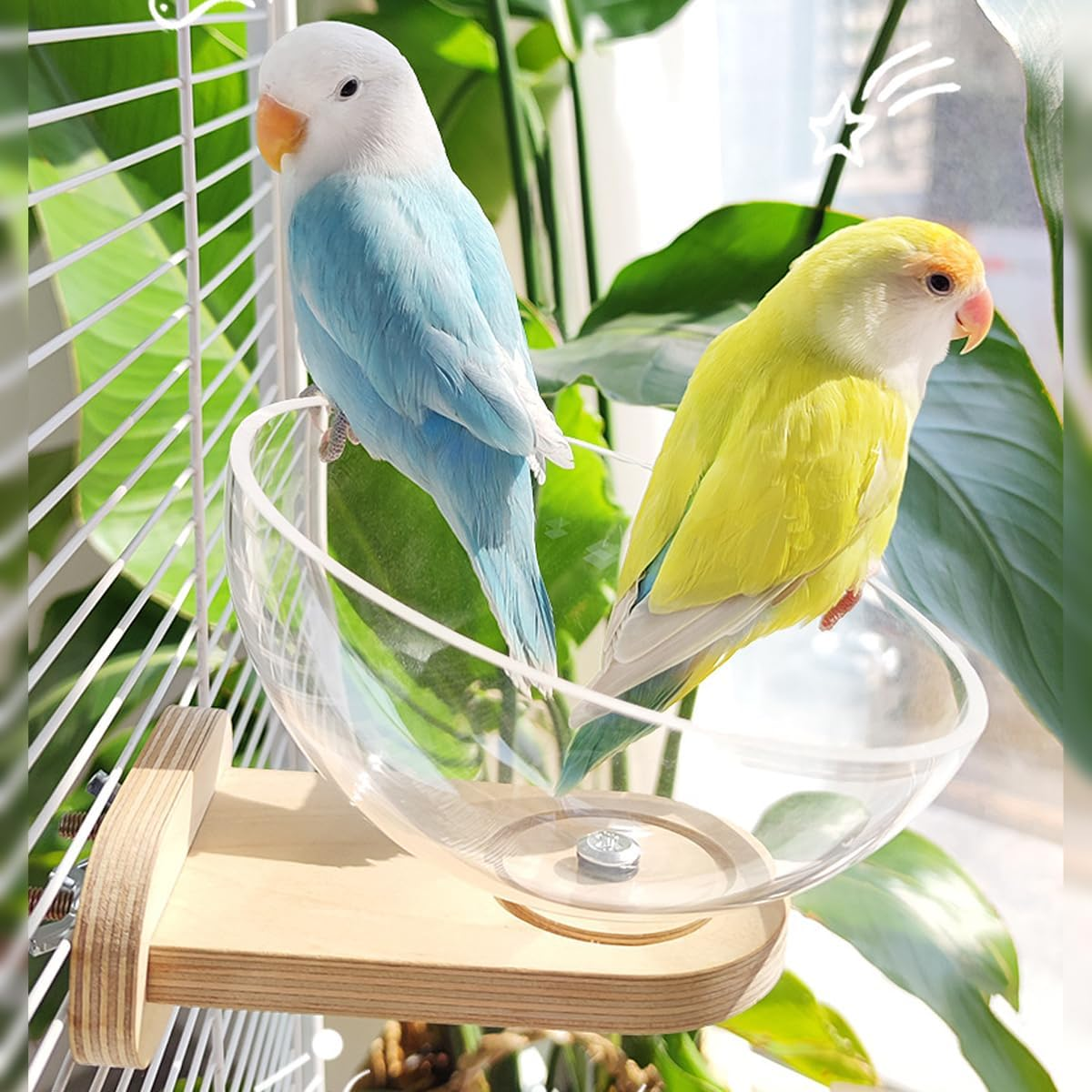 AIMALL Parrot Resting and Sleeping Nest with Wooden Perch Transparent Ventilated Capsule Design Swing and Fixed Styles 5.90In Diameter for Small and Medium Birds All Seasons image number 1