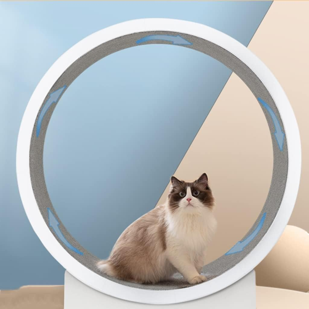 Cat Exercise Wheel,Cat Treadmill with Carpeted Runway,Kitty Cat Sport Toy,Running,Spinning,And Scratching Fun,Cat Walking Wheel Cat Fitness Toy Cat Running Wheel image number 2