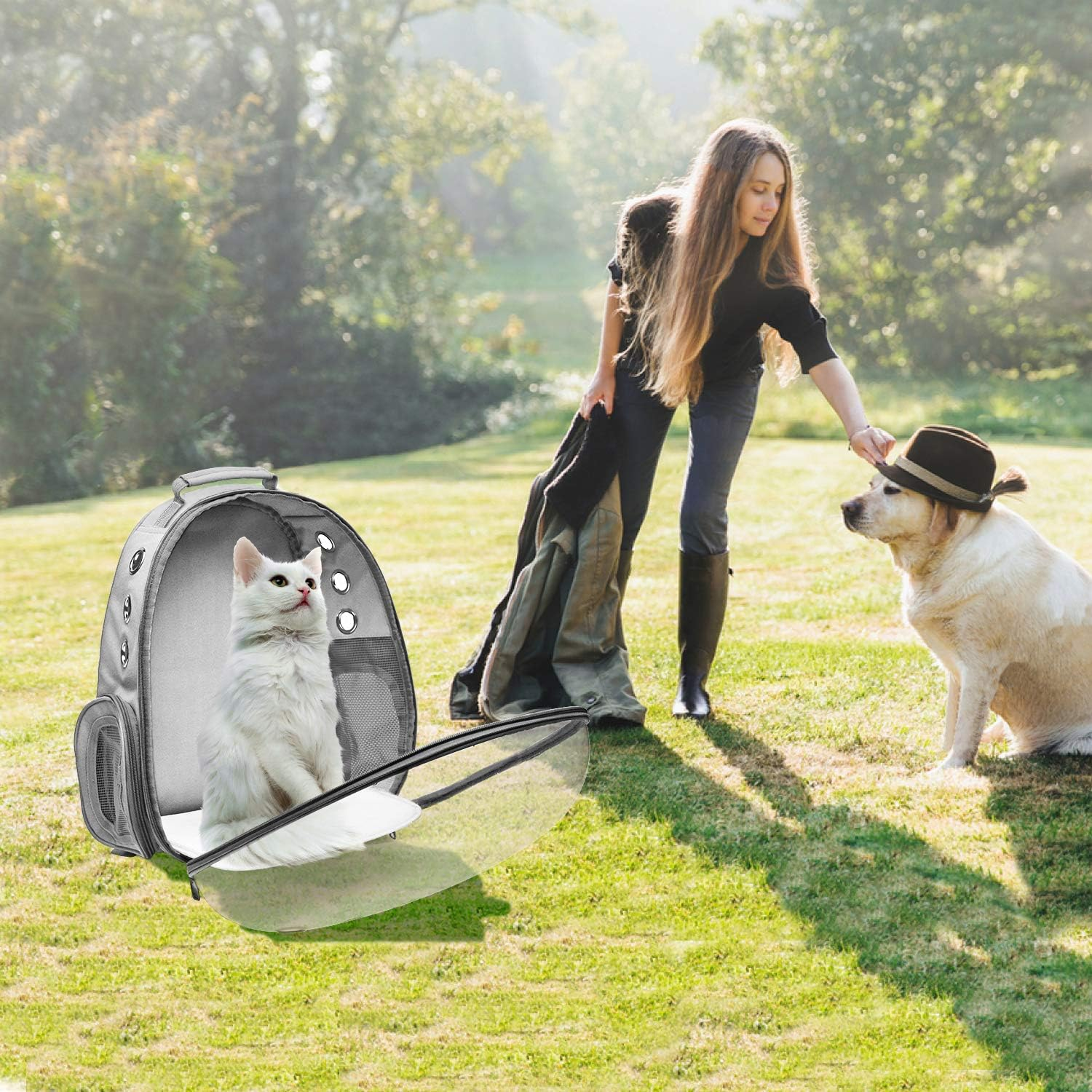 Henkelion Cat Backpack Carrier Bubble Carrying Bag, Small Dog Backpack Carrier for Small Medium Dogs Cats, Space Capsule Pet Carrier Dog Hiking Backpack, Airline Approved Travel Carrier - Grey