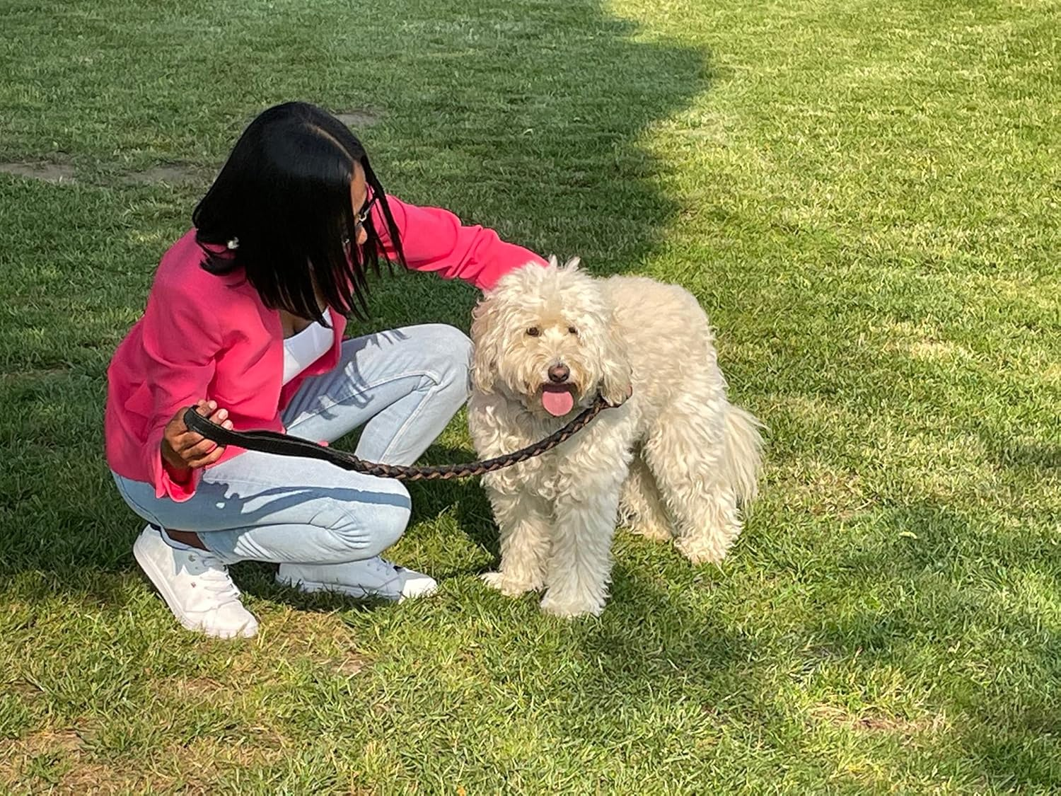 Short Dog Lead 120 Genuine Leather with Textile Band Braided Diameter 3 X 80 Cm Also for Large Heavy Dogs up to 60 Kg image number 1