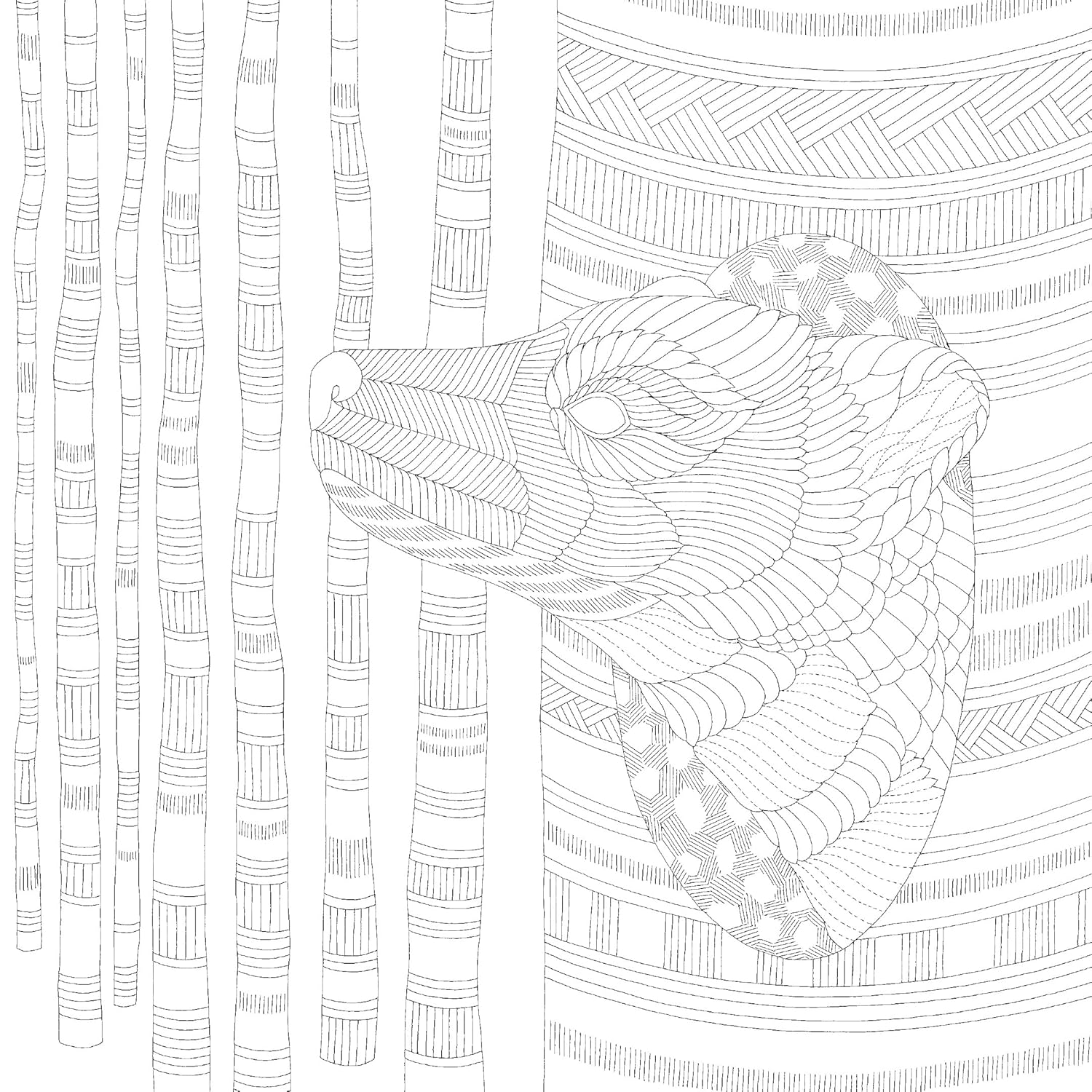 Millie Marotta'S Beautiful Birds and Treetop Treasures: a Colouring Book Adventure: Volume 5 image number 4