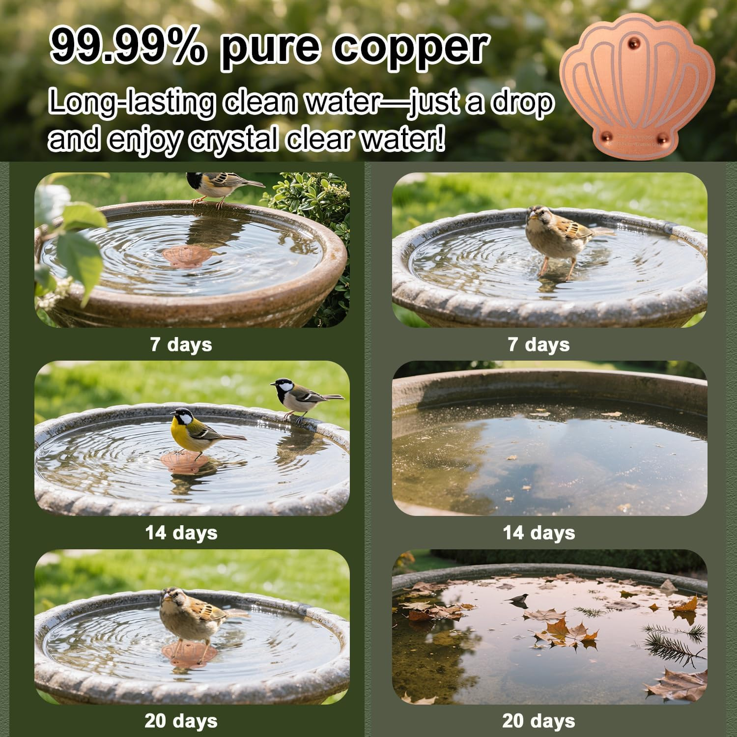 Bird Bath Copper Disk, Shell Shape Reinforced Copper Purification Disk with Triple-Point Practical Bird Bath & Bowls Cleaner for Outdoor All-Season Use image number 6