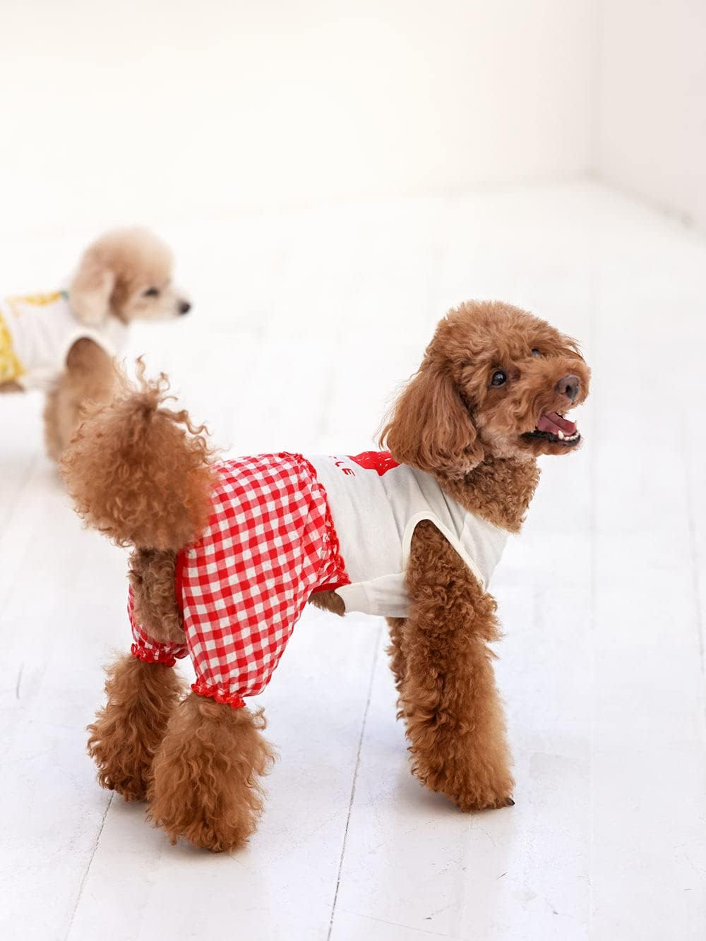 Dog Life Fruit Puff Pants Red Dog Small image number 1