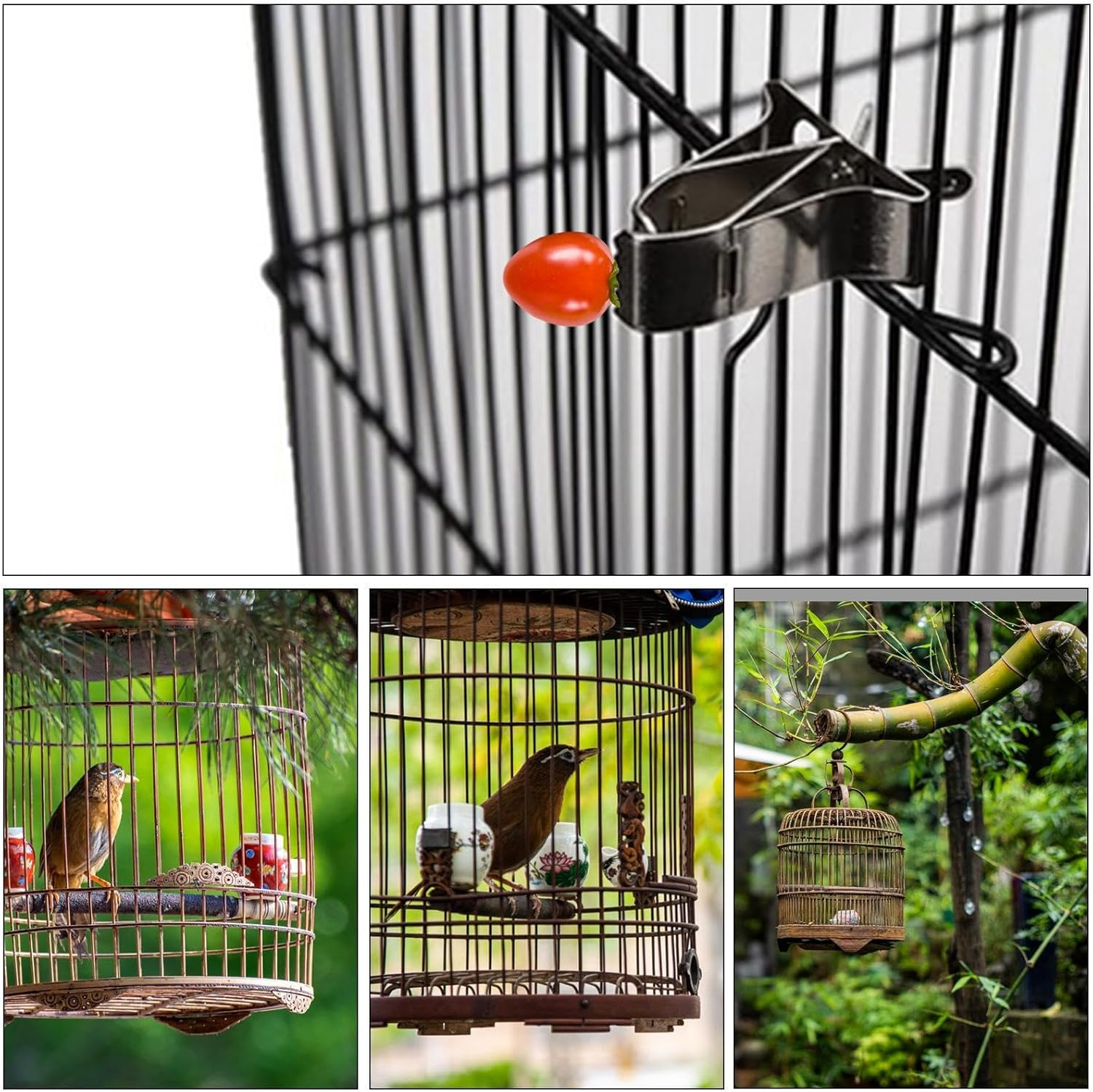 Bird Cage Food Holder, Parakeet Feeder Food Holder, Fruit Fork, Fruit Vegetable Skewer, Small Animal Feeders Stainless Steel for Parrots, Cockatiel, Budgie image number 2