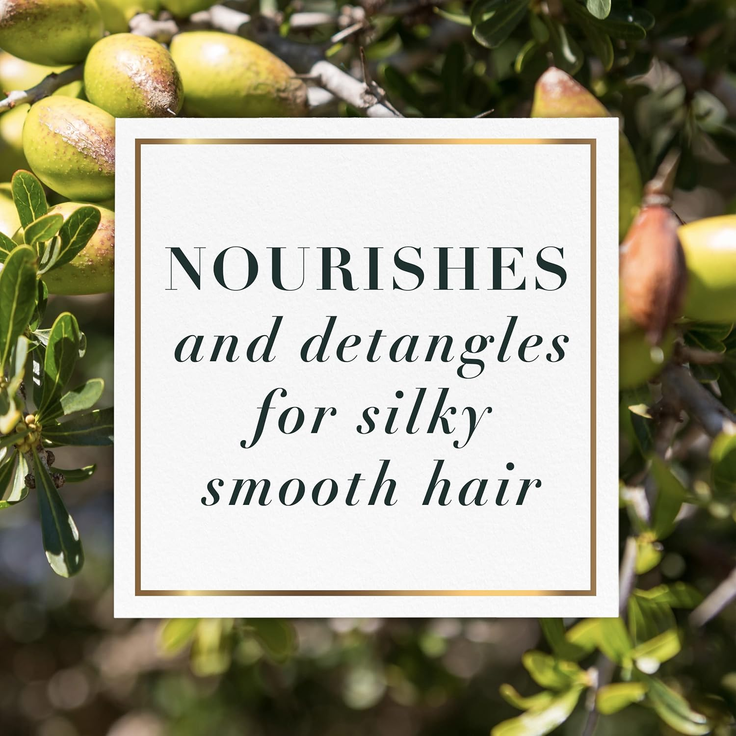 Herbal Essences Detangling Cream with Argan Oil & Aloe, 7.0 Fl Oz, Pack of 2 image number 2