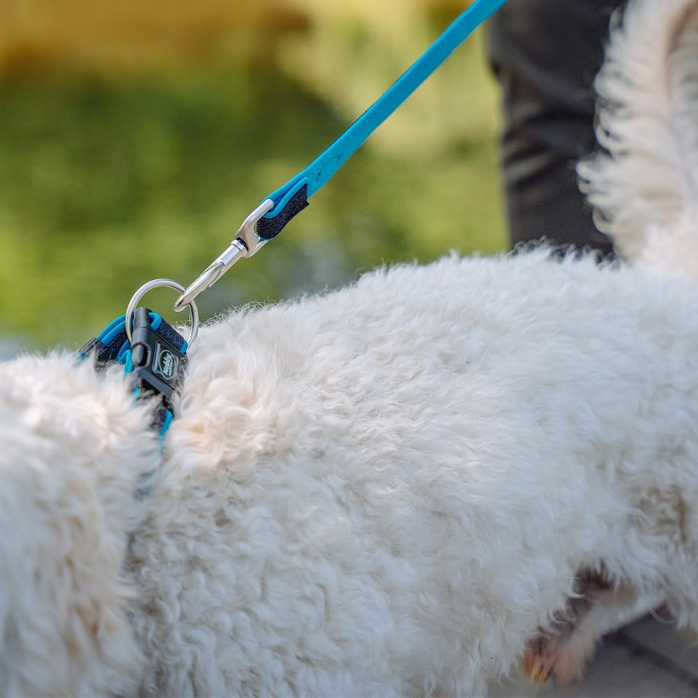 Nobby Preno Mesh Dog Collar, 25-35 Cm/15-20 Mm, Turquoise - Grey image number 5