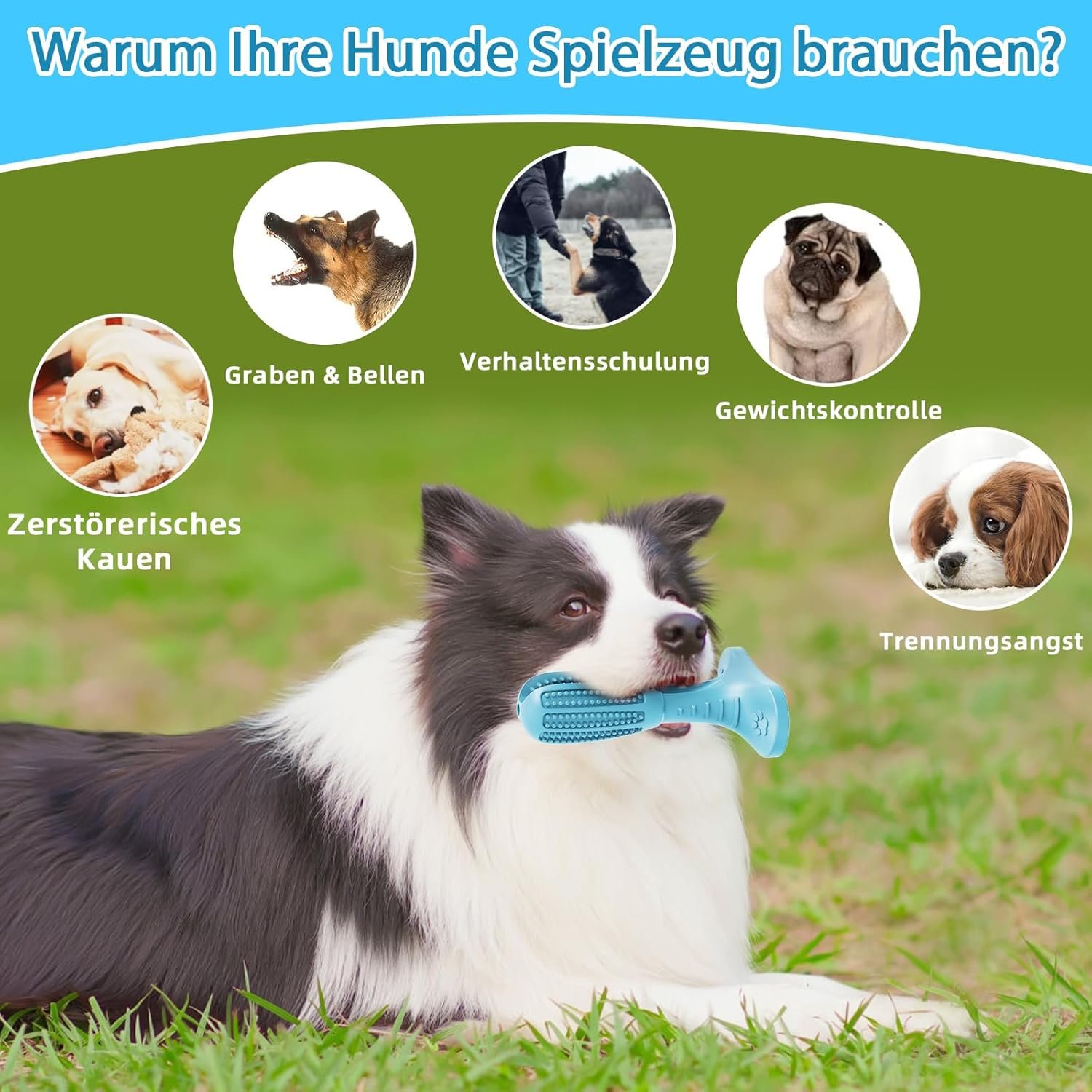 HETOO Dog Toy, Chew Toy for Dogs, Puppies, Teeth Cleaning Dog Toy for Medium Dogs, Teeth Grinding Bar, Rubber Dog Toys (Blue) image number 2